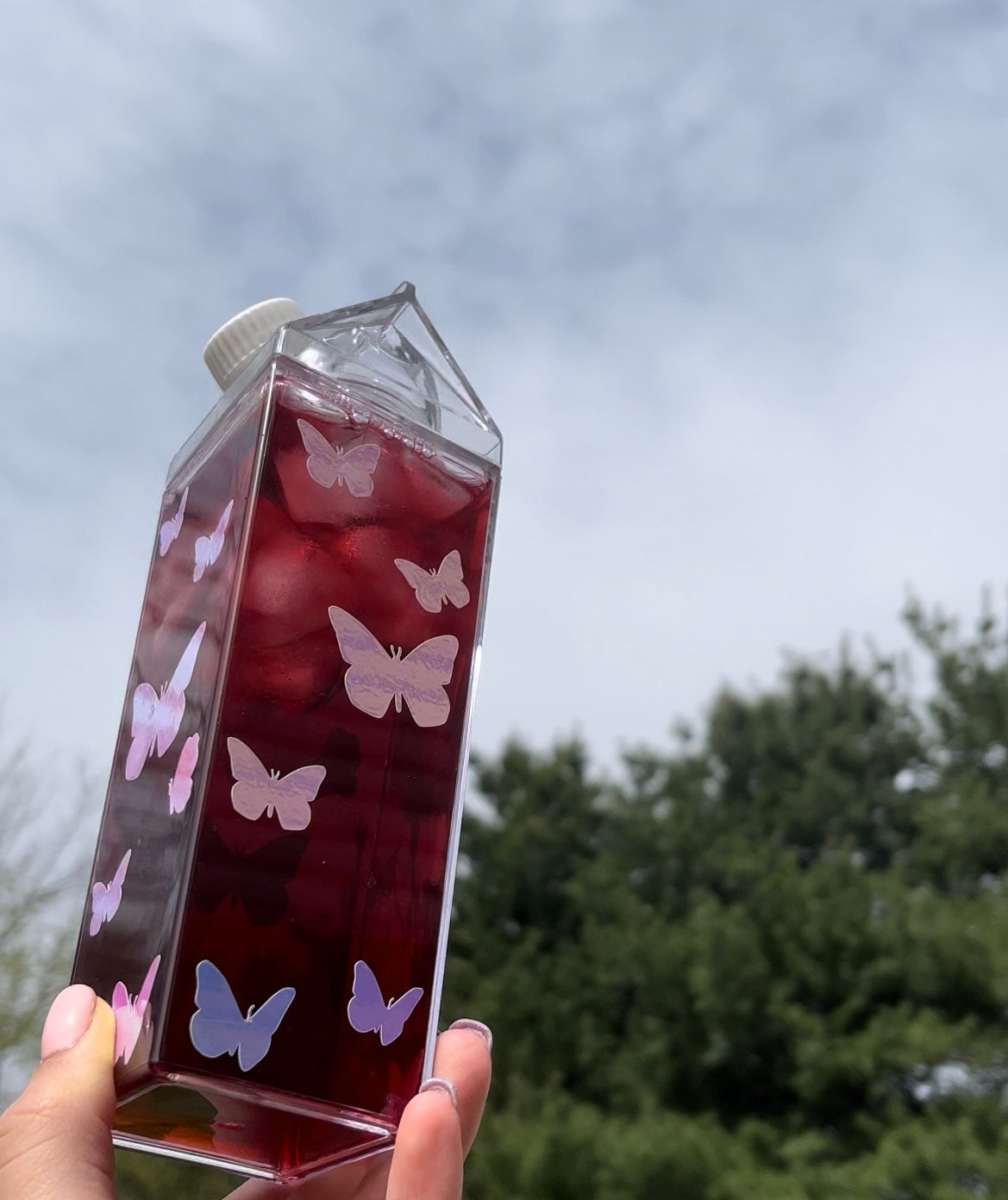 Butterfly Milk Carton Water Bottle