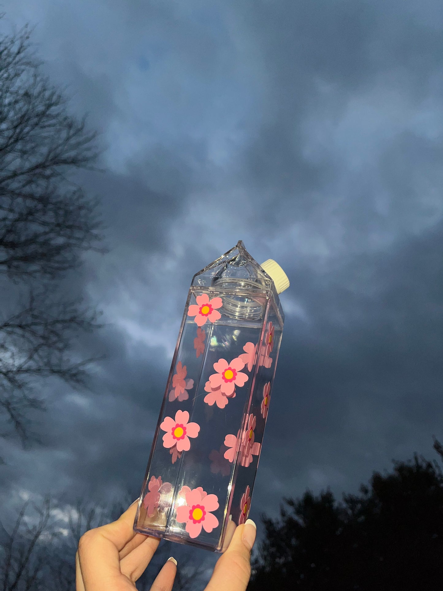 Spring Flower Milk Carton Water Bottle