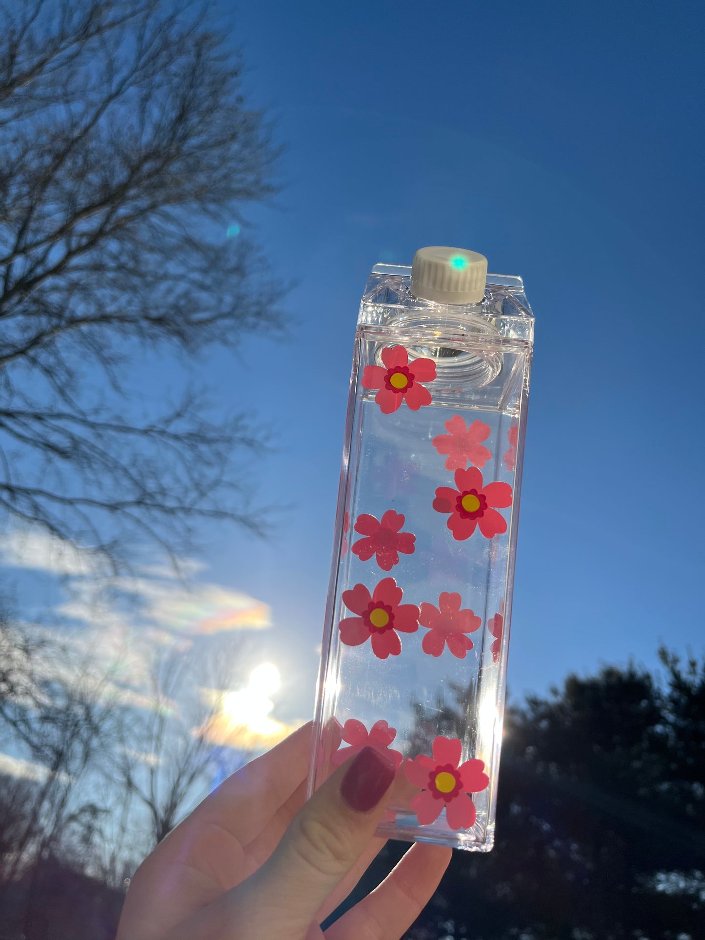 Spring Flower Milk Carton Water Bottle