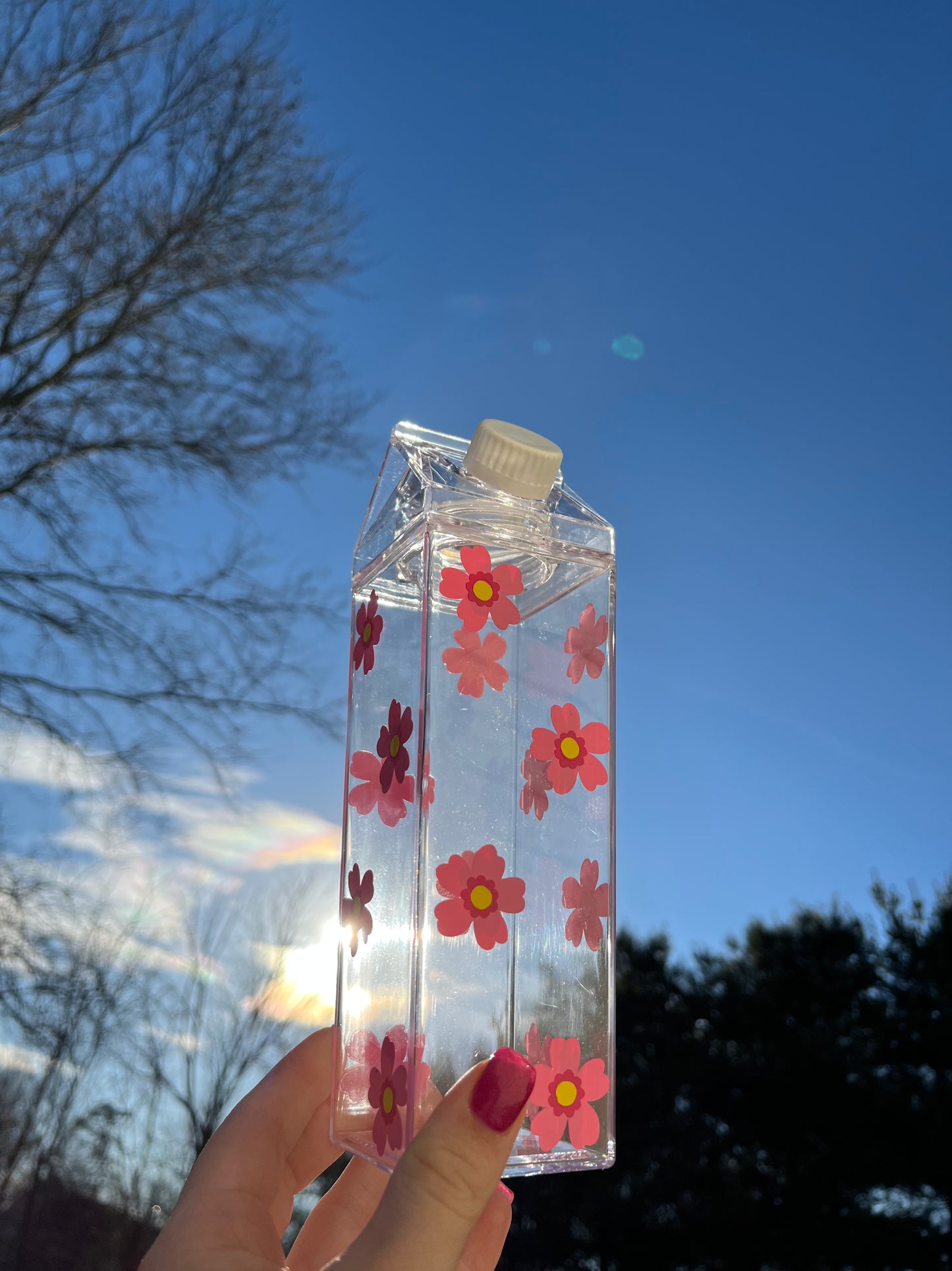 Spring Flower Milk Carton Water Bottle