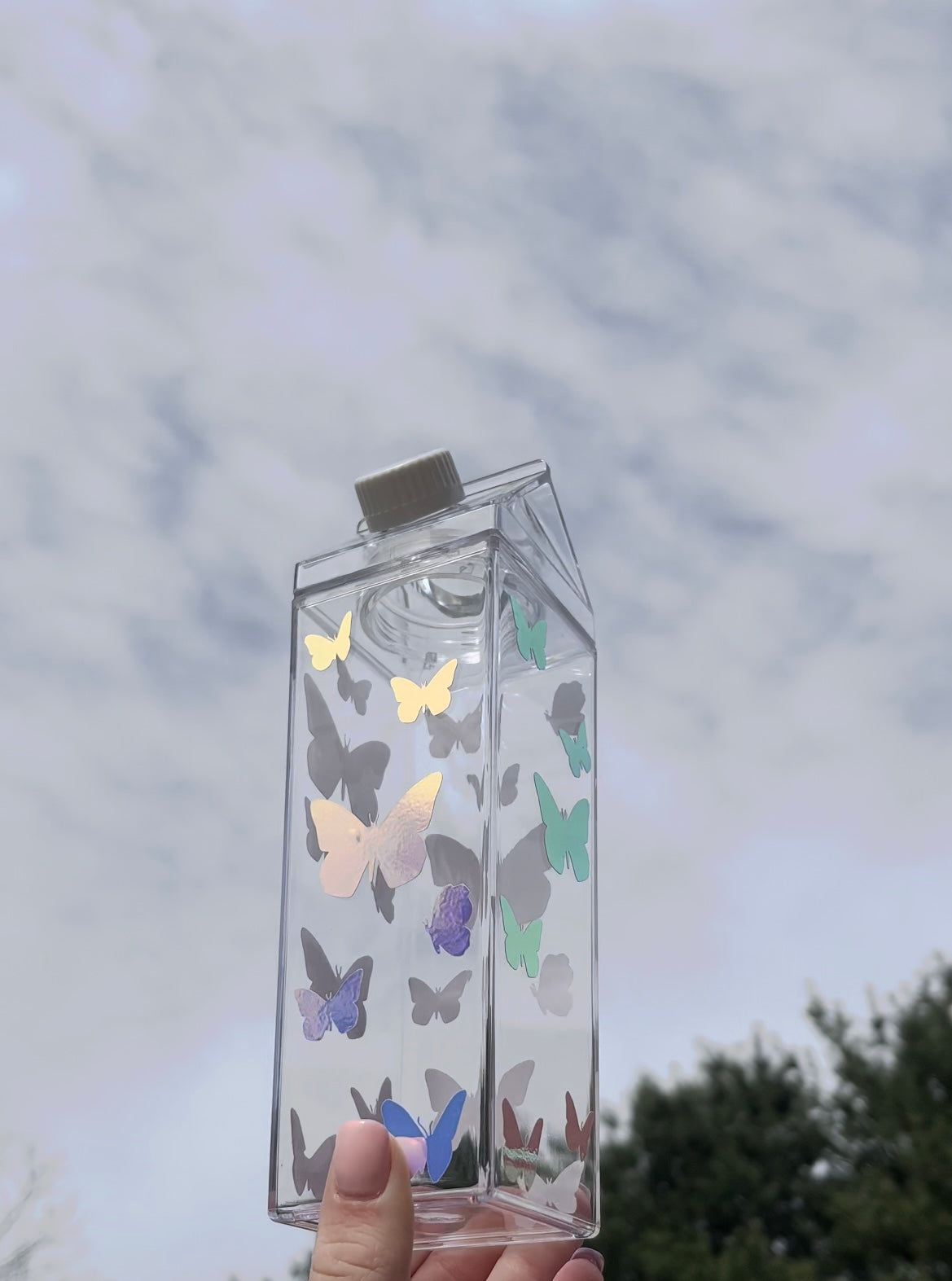 Butterfly Milk Carton Water Bottle