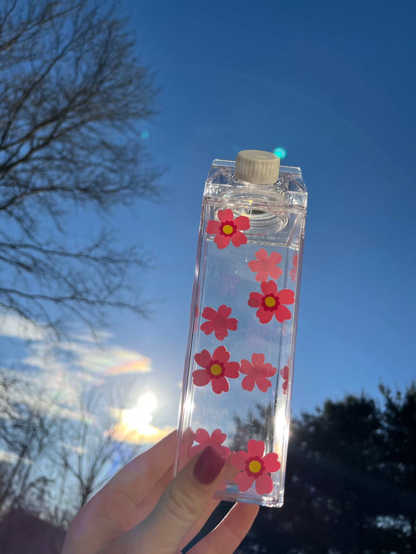 Spring Flower Milk Carton Water Bottle
