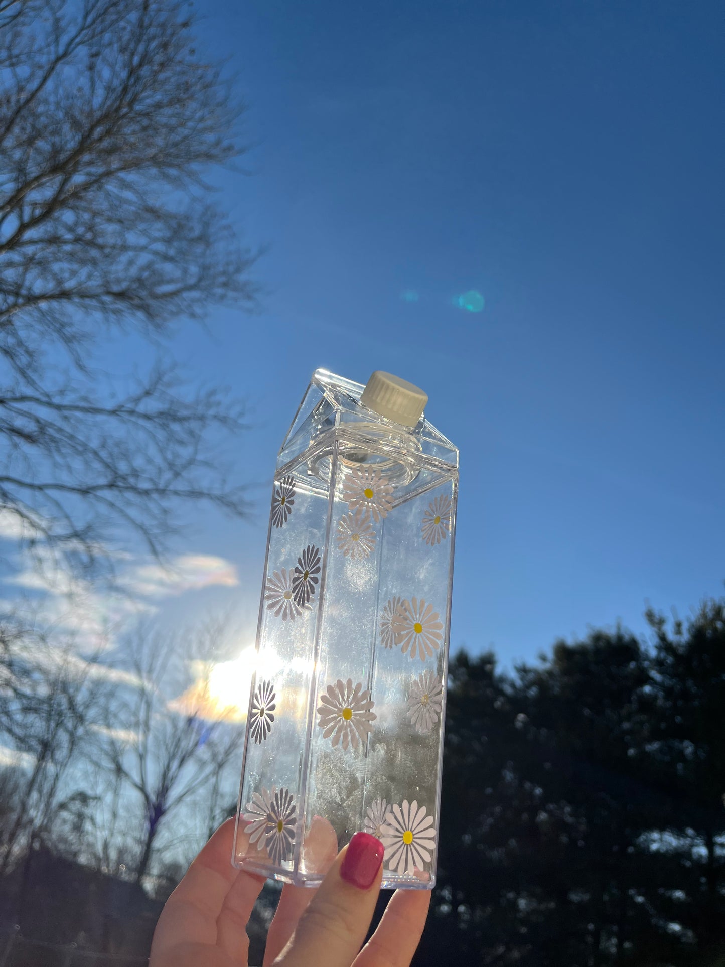 Daisy Milk Carton Water Bottle
