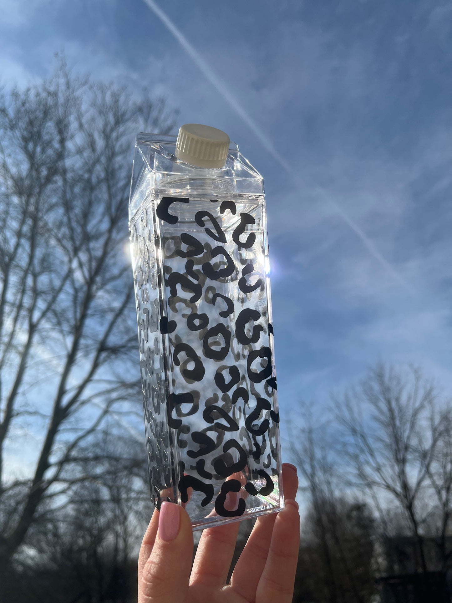 Leopard Print Milk Carton Water Bottle