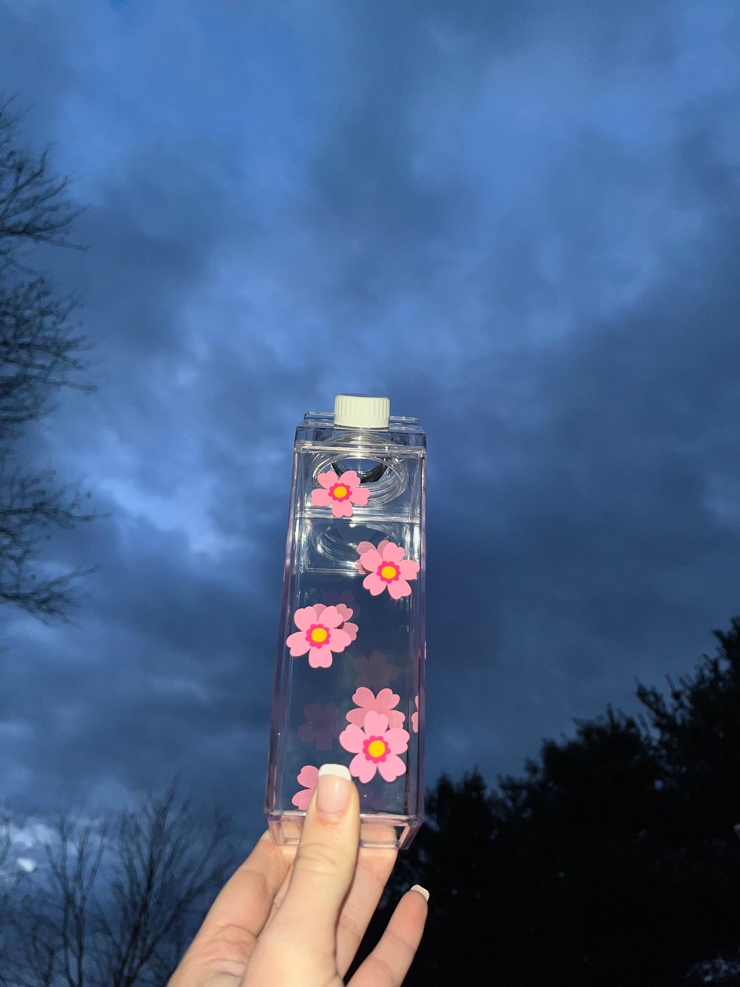 Spring Flower Milk Carton Water Bottle