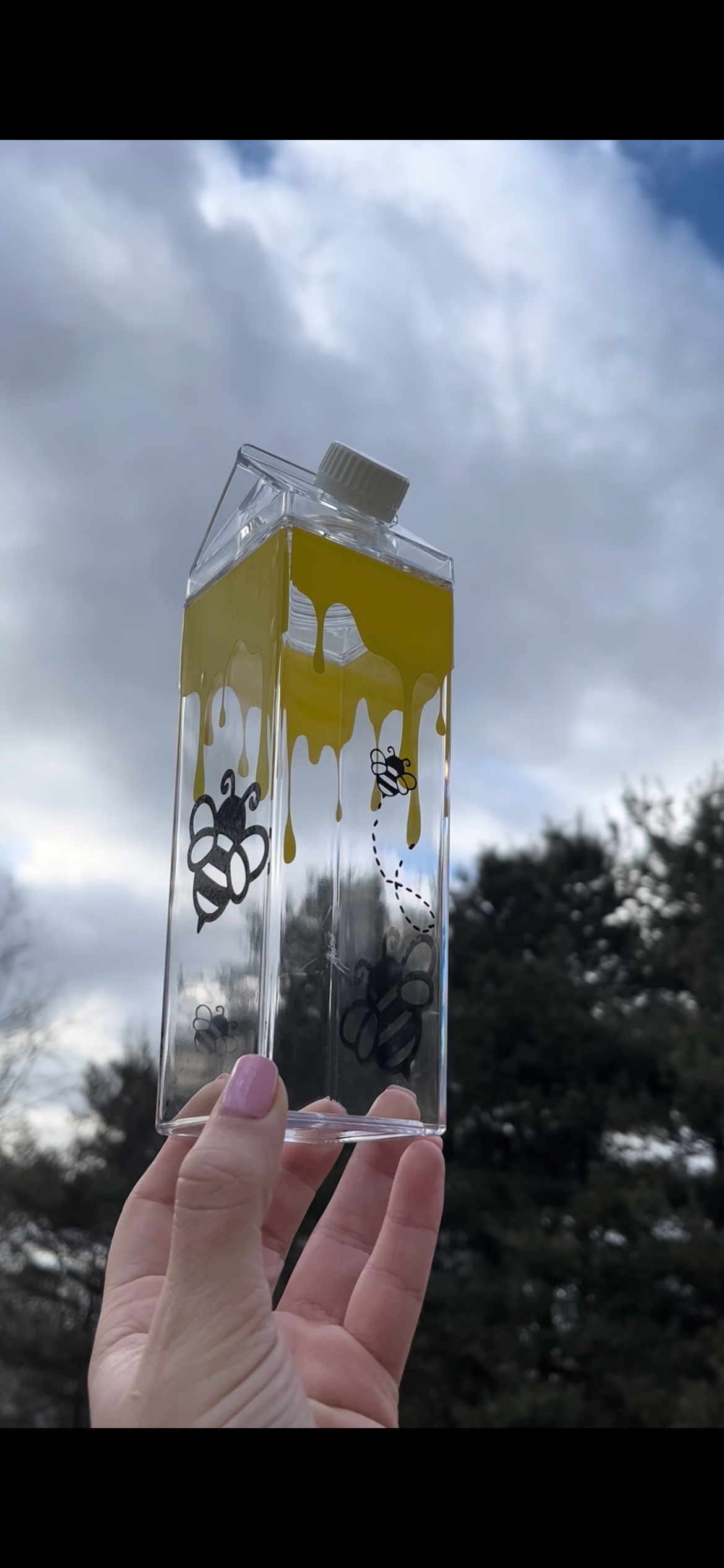 Bee and Honey Milk Carton Water Bottle