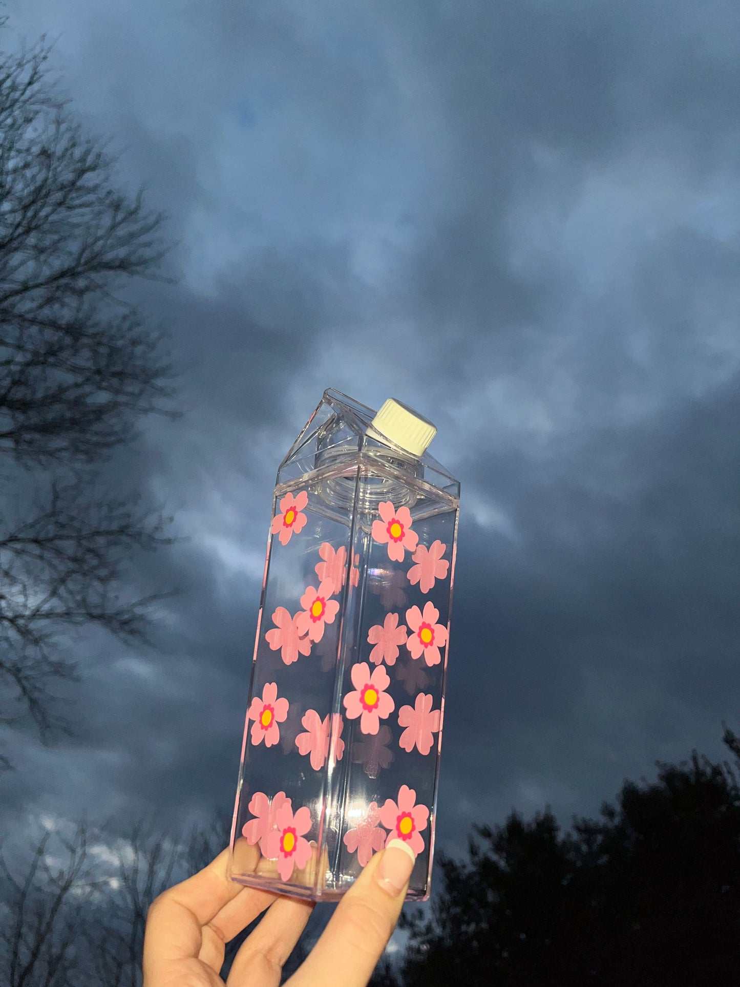 Spring Flower Milk Carton Water Bottle