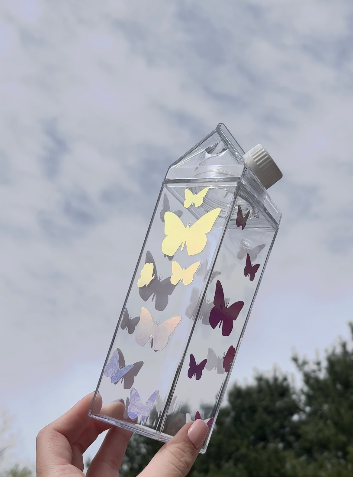 Butterfly Milk Carton Water Bottle