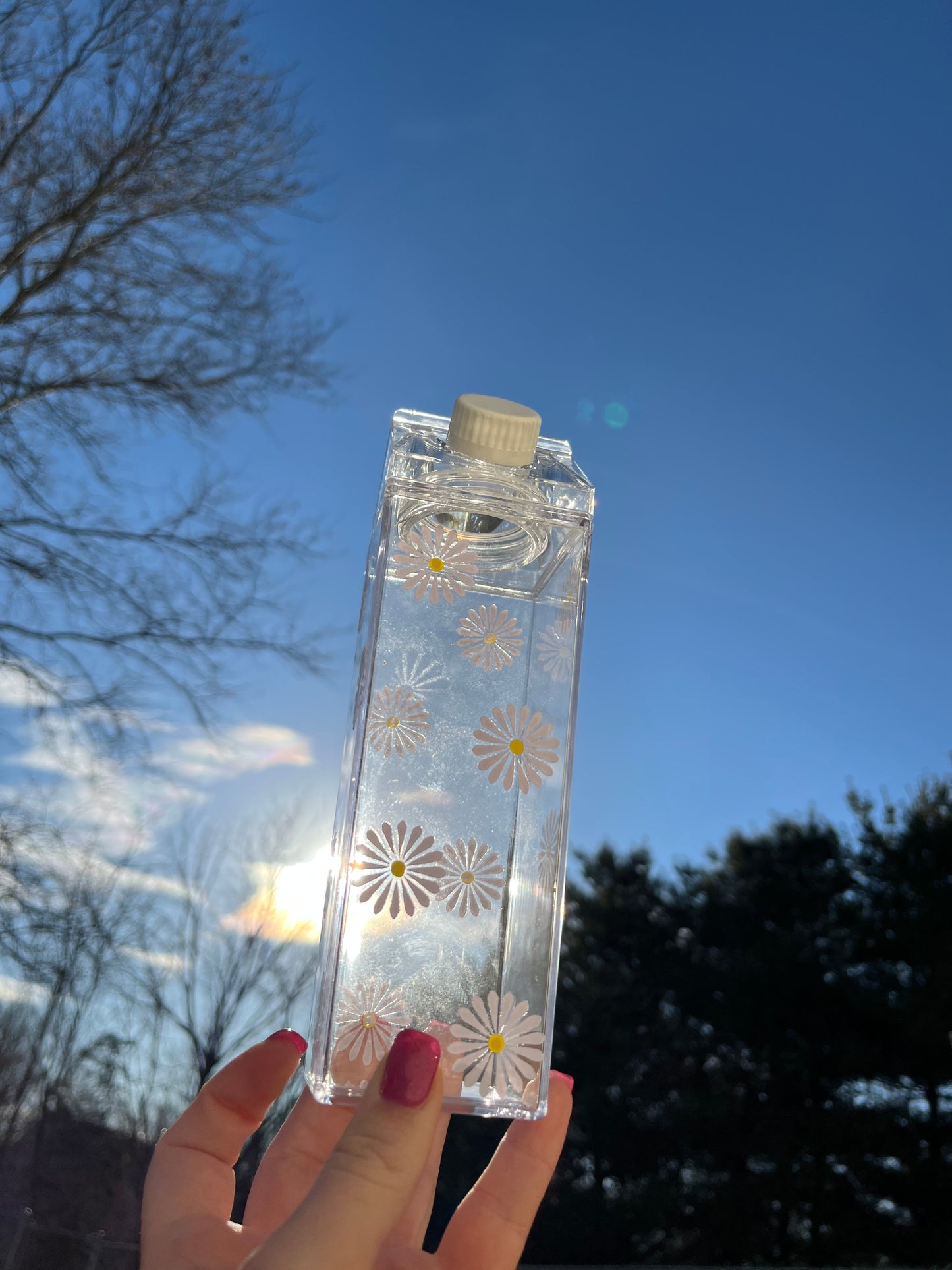 Daisy Milk Carton Water Bottle