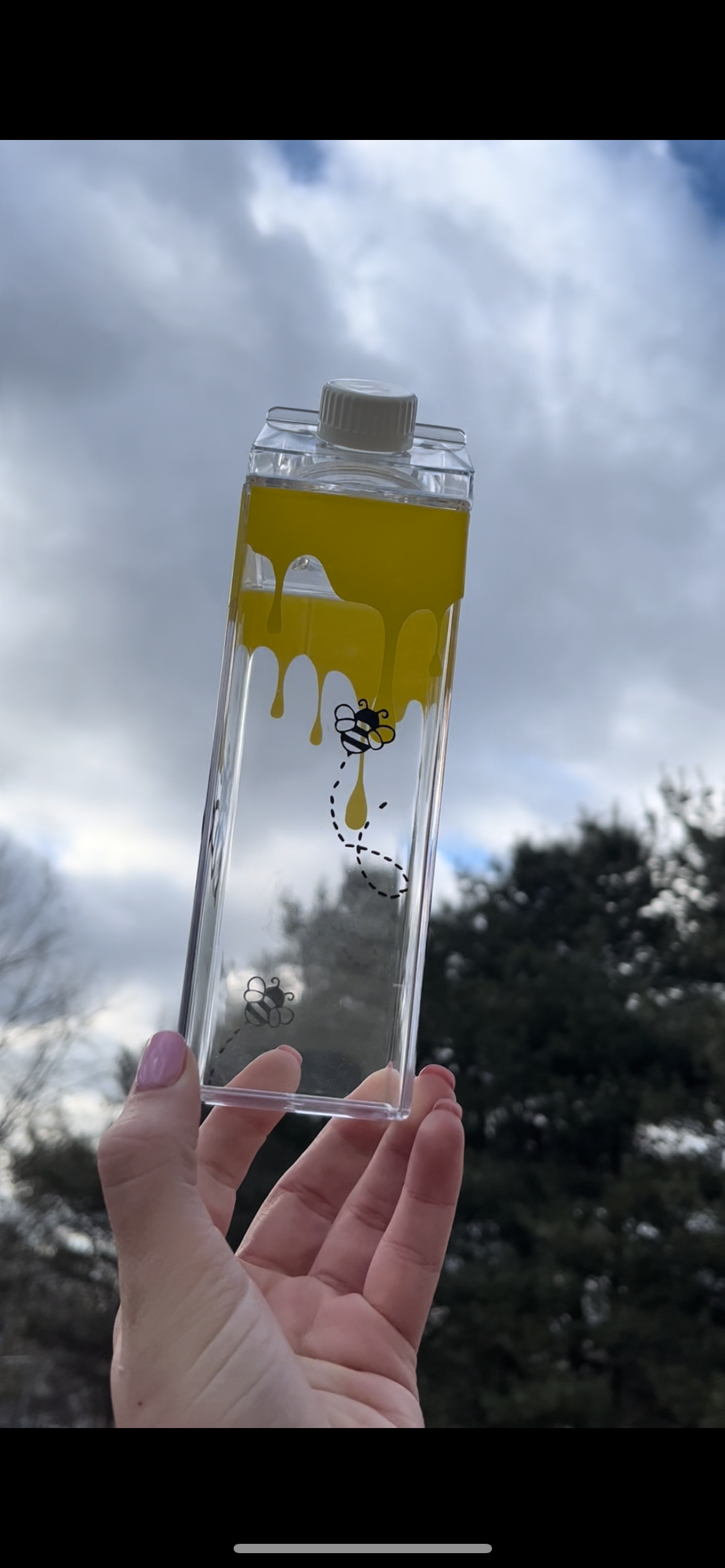 Bee and Honey Milk Carton Water Bottle