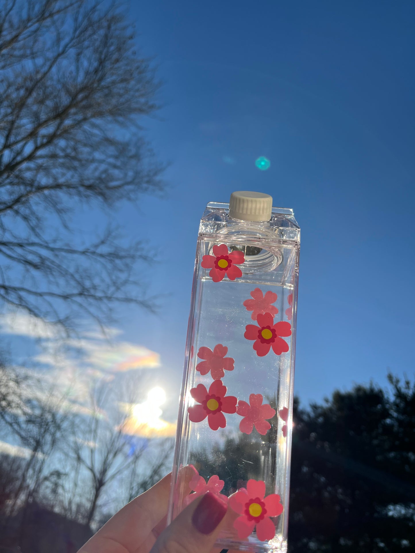 Spring Flower Milk Carton Water Bottle