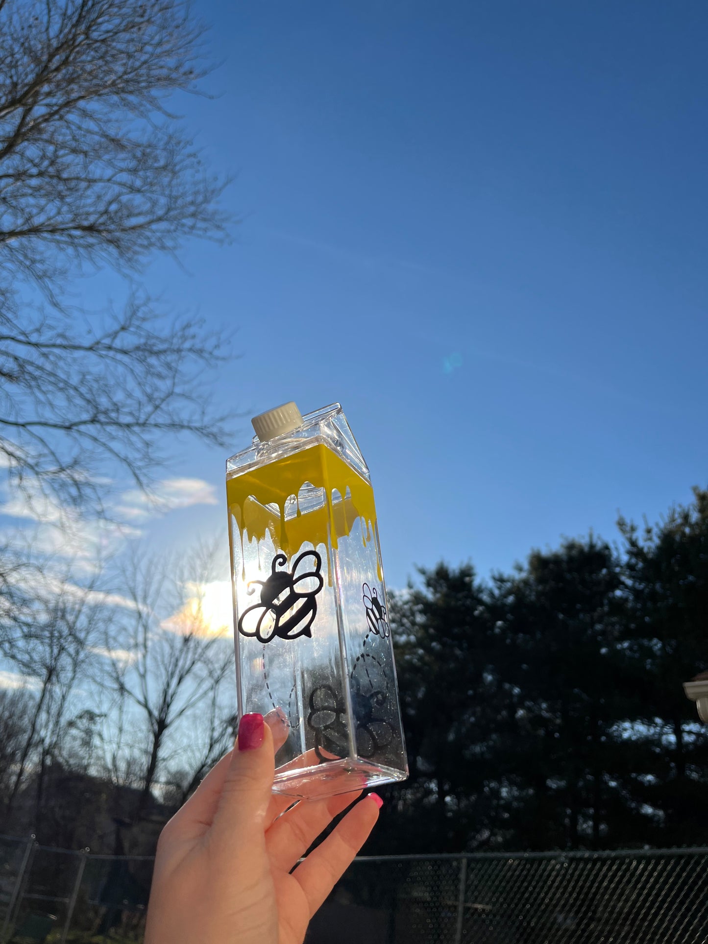 Bee and Honey Milk Carton Water Bottle