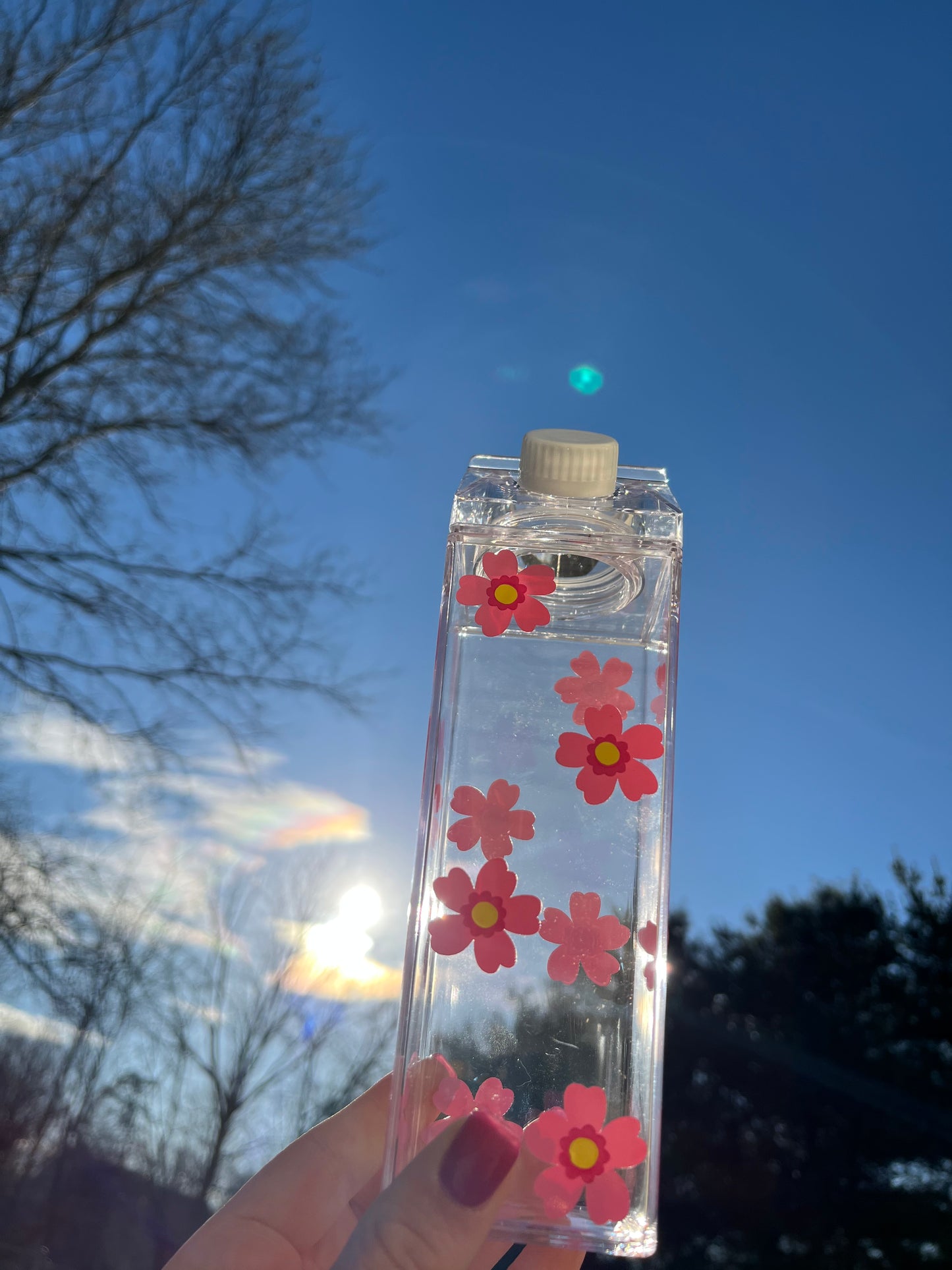 Spring Flower Milk Carton Water Bottle