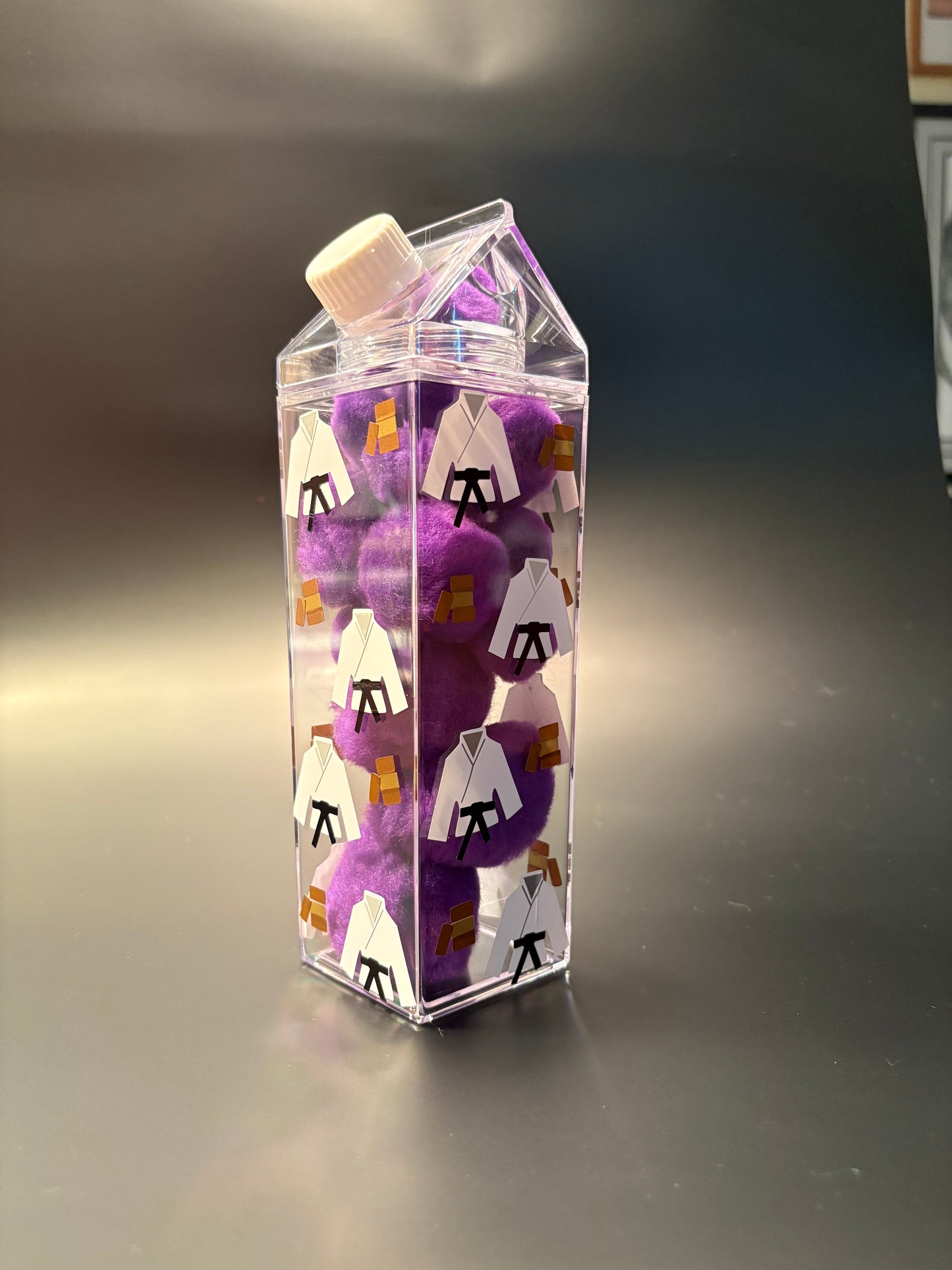 Karate Milk Carton Water Bottle
