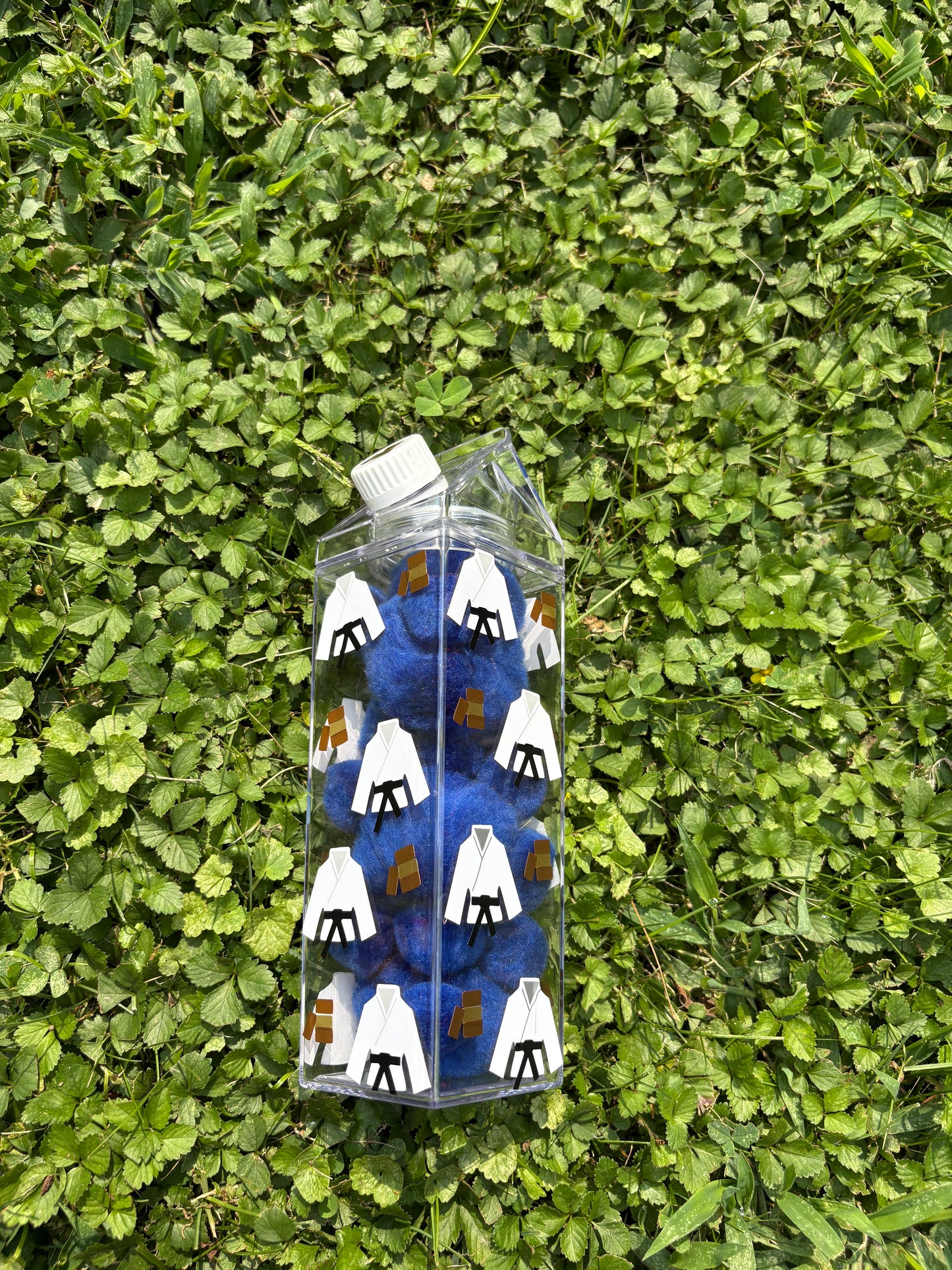 Karate Milk Carton Water Bottle