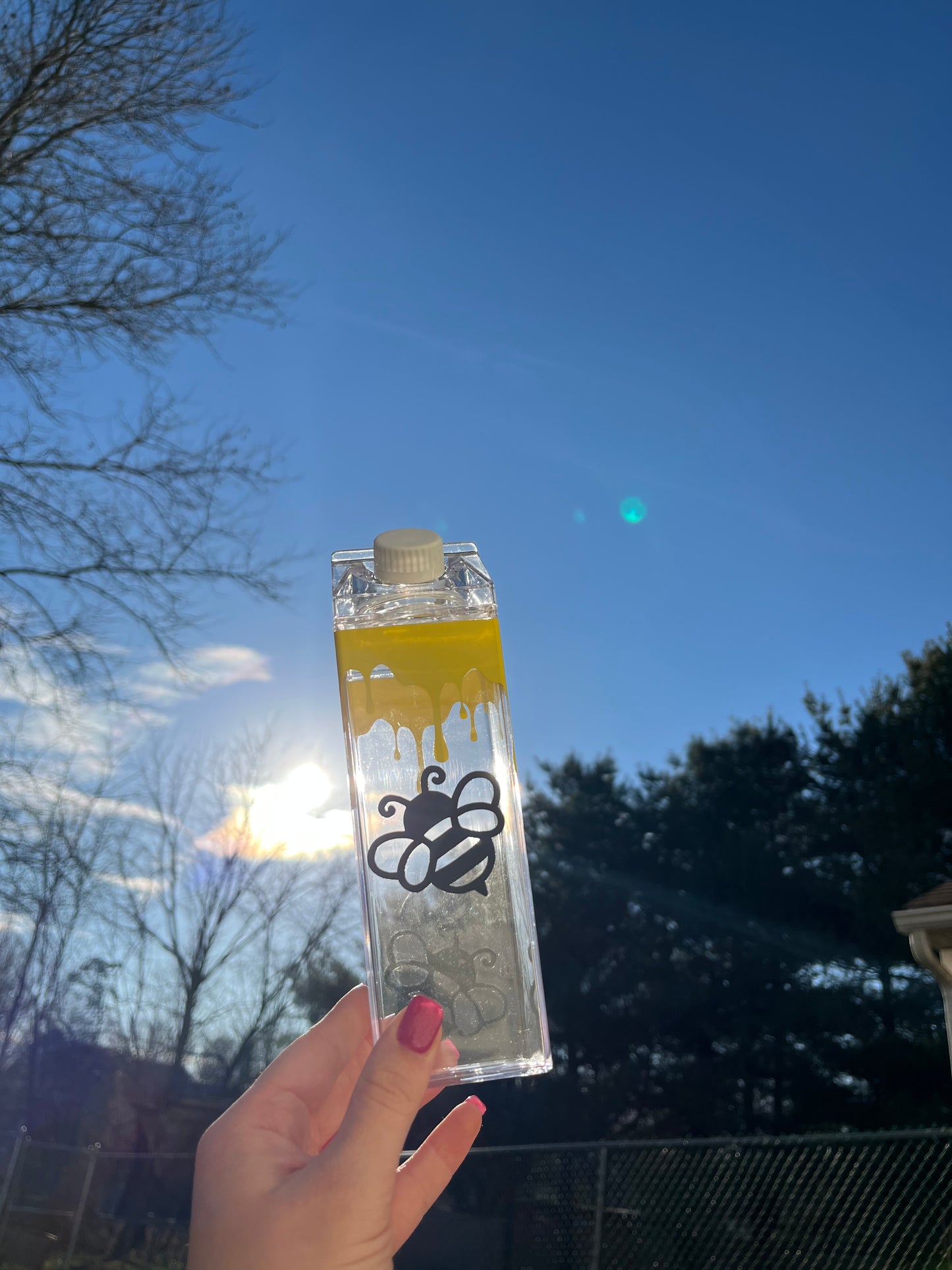 Bee and Honey Milk Carton Water Bottle