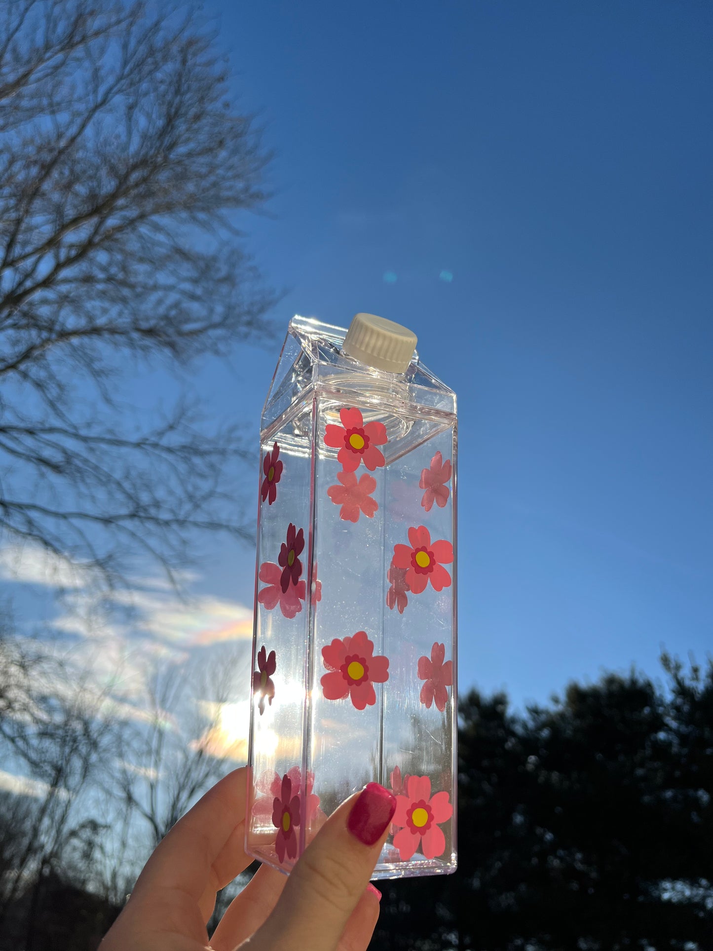 Spring Flower Milk Carton Water Bottle