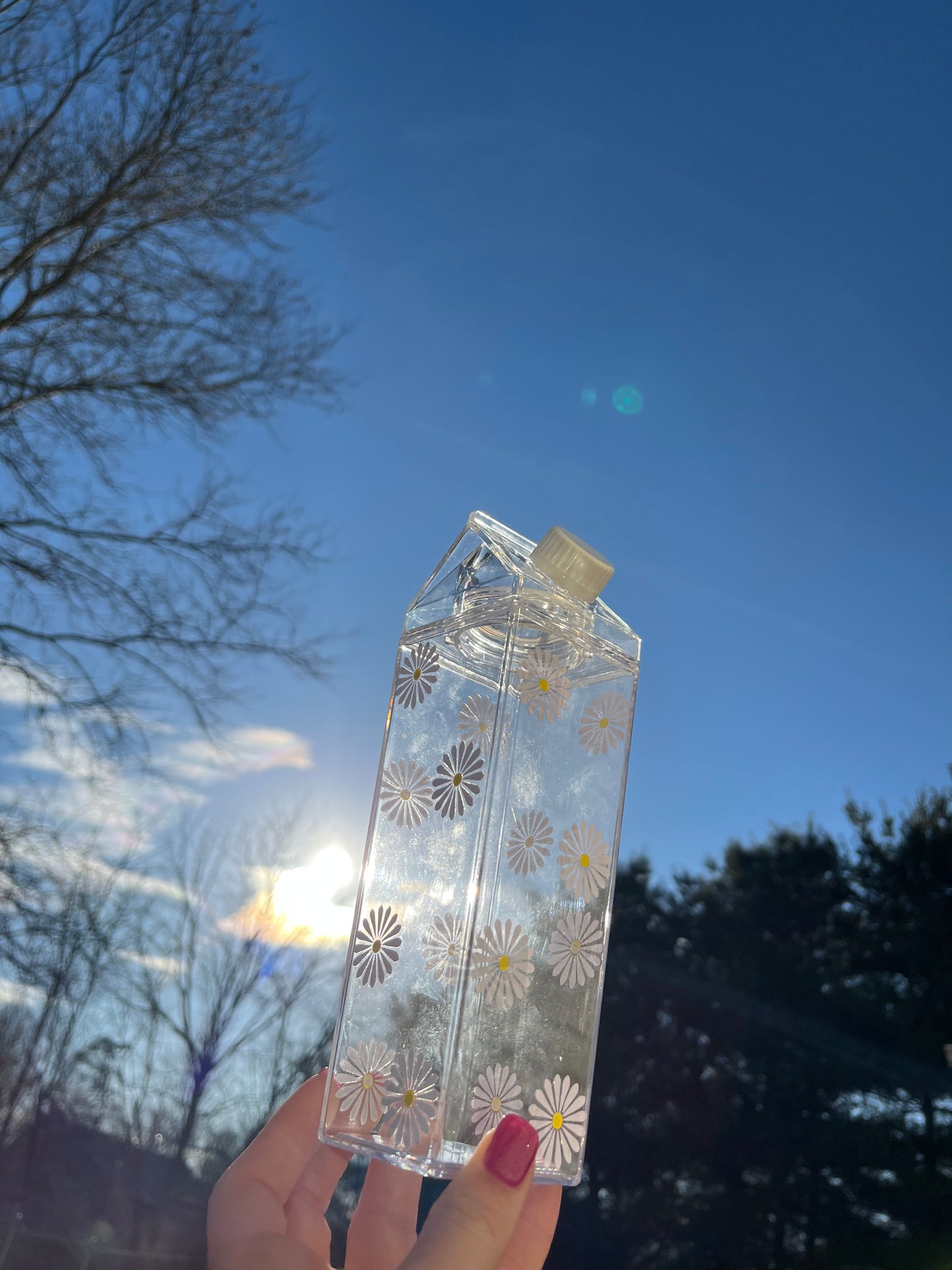 Daisy Milk Carton Water Bottle