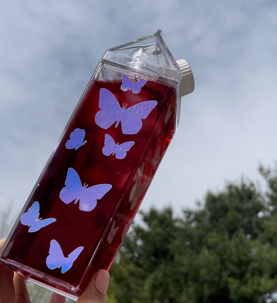 Butterfly Milk Carton Water Bottle