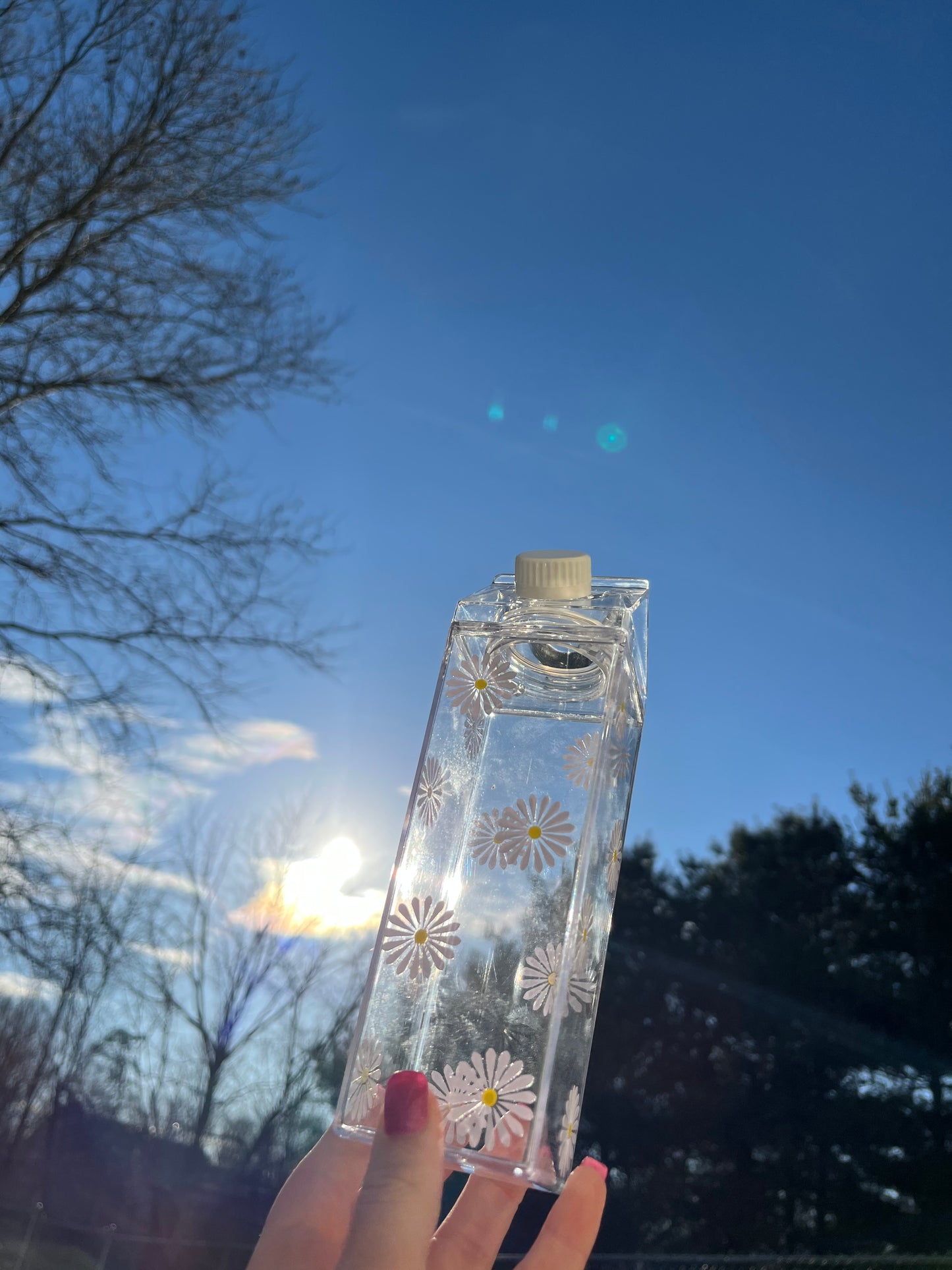 Daisy Milk Carton Water Bottle