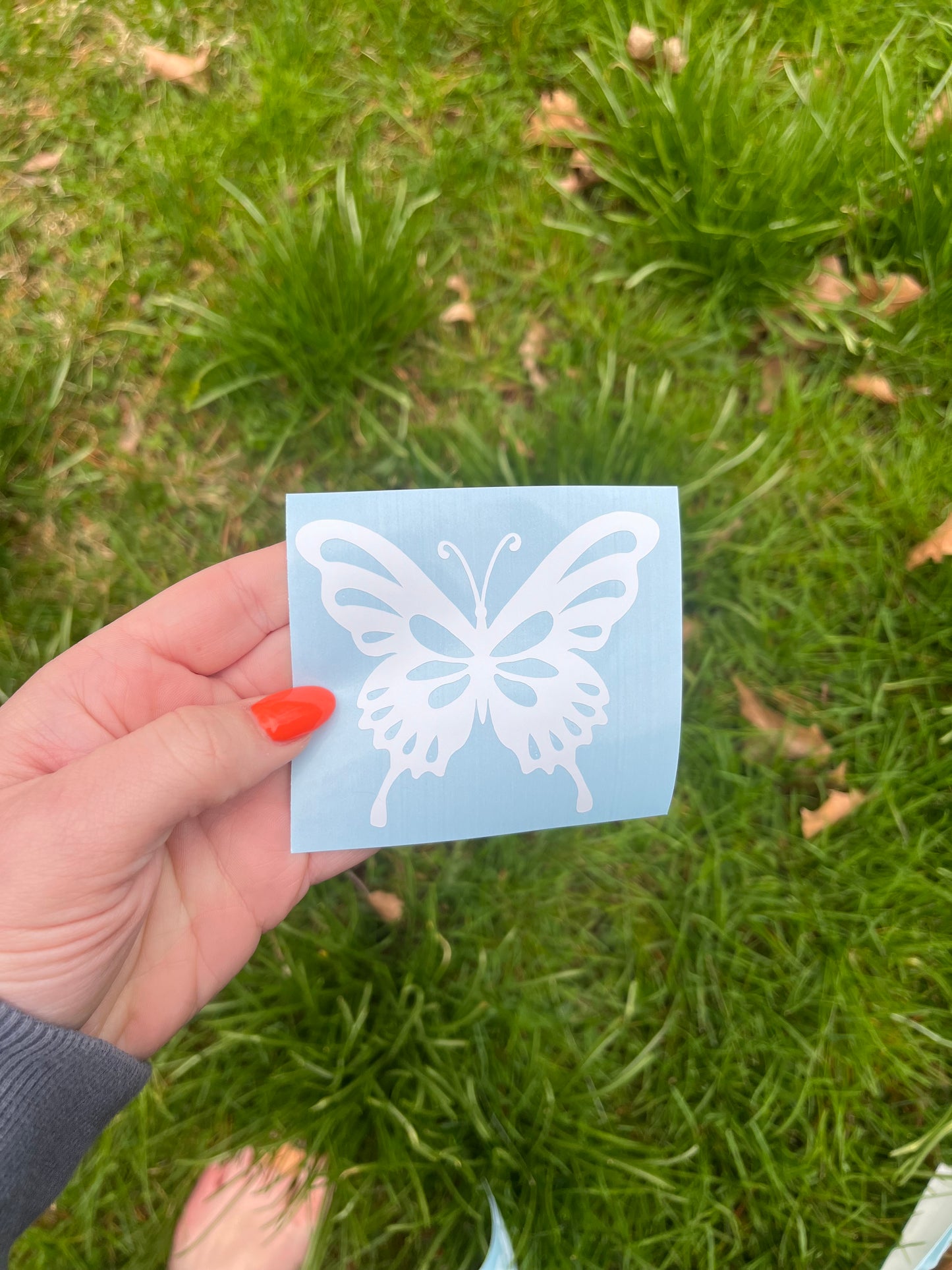 Medium Butterfly Window Sticker