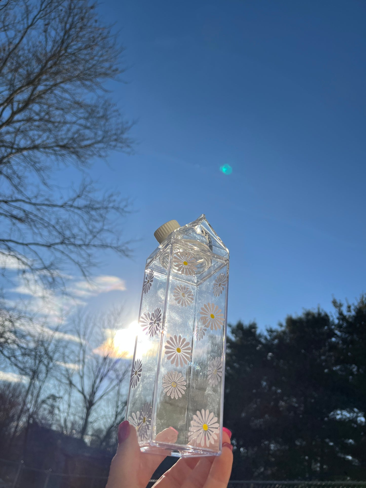 Daisy Milk Carton Water Bottle