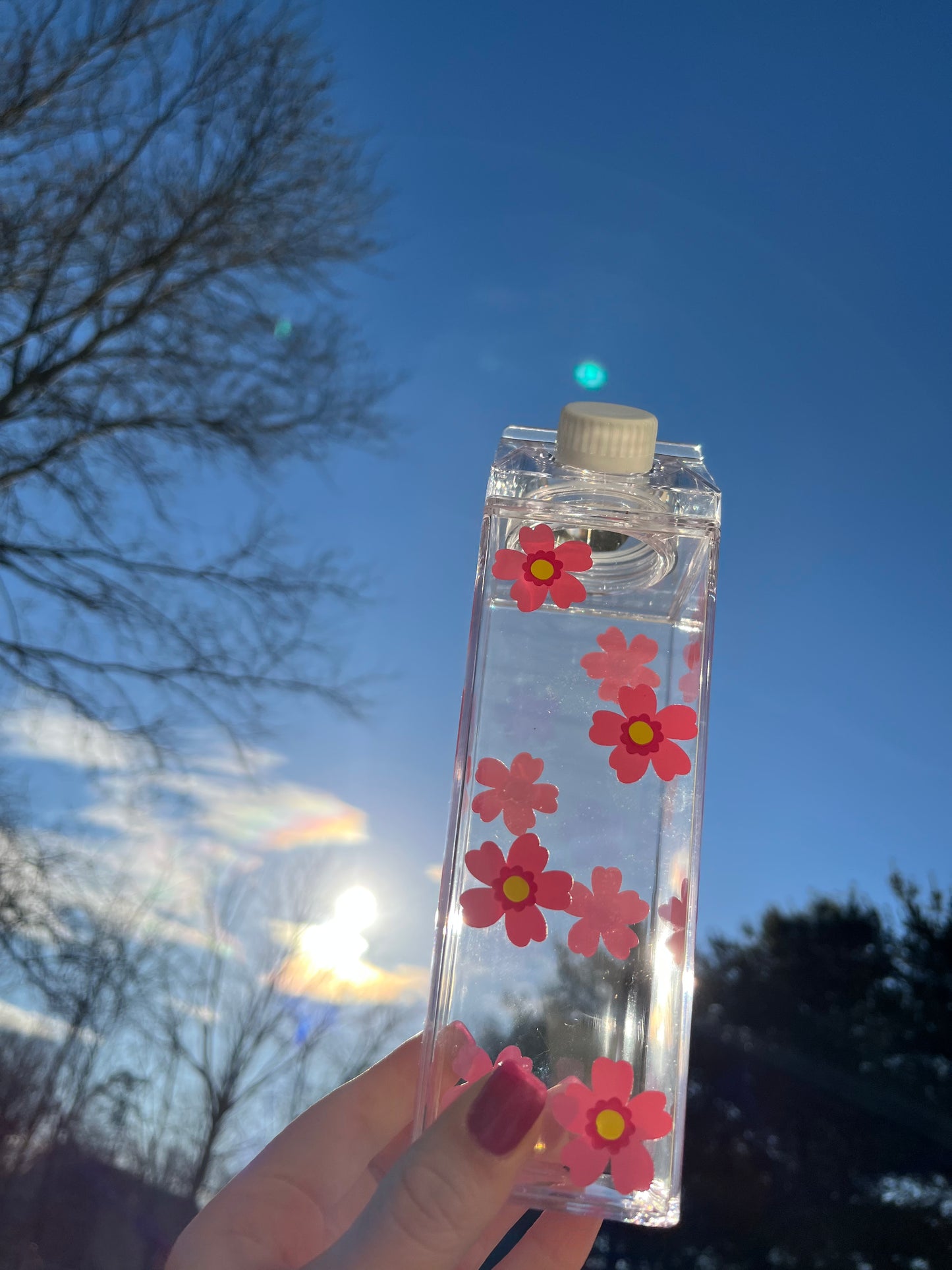 Spring Flower Milk Carton Water Bottle