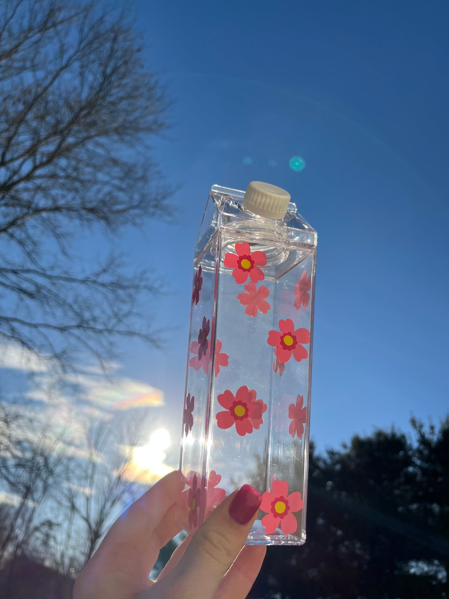 Spring Flower Milk Carton Water Bottle