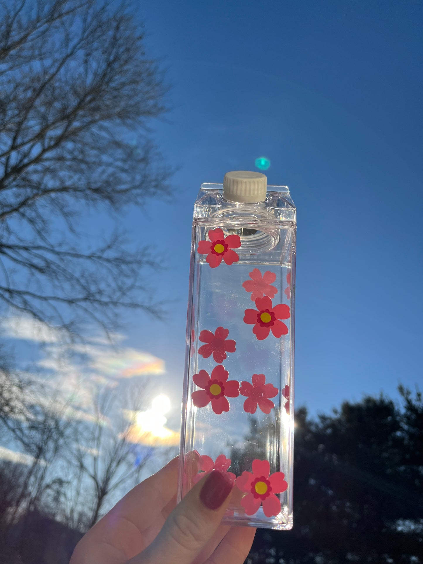 Spring Flower Milk Carton Water Bottle