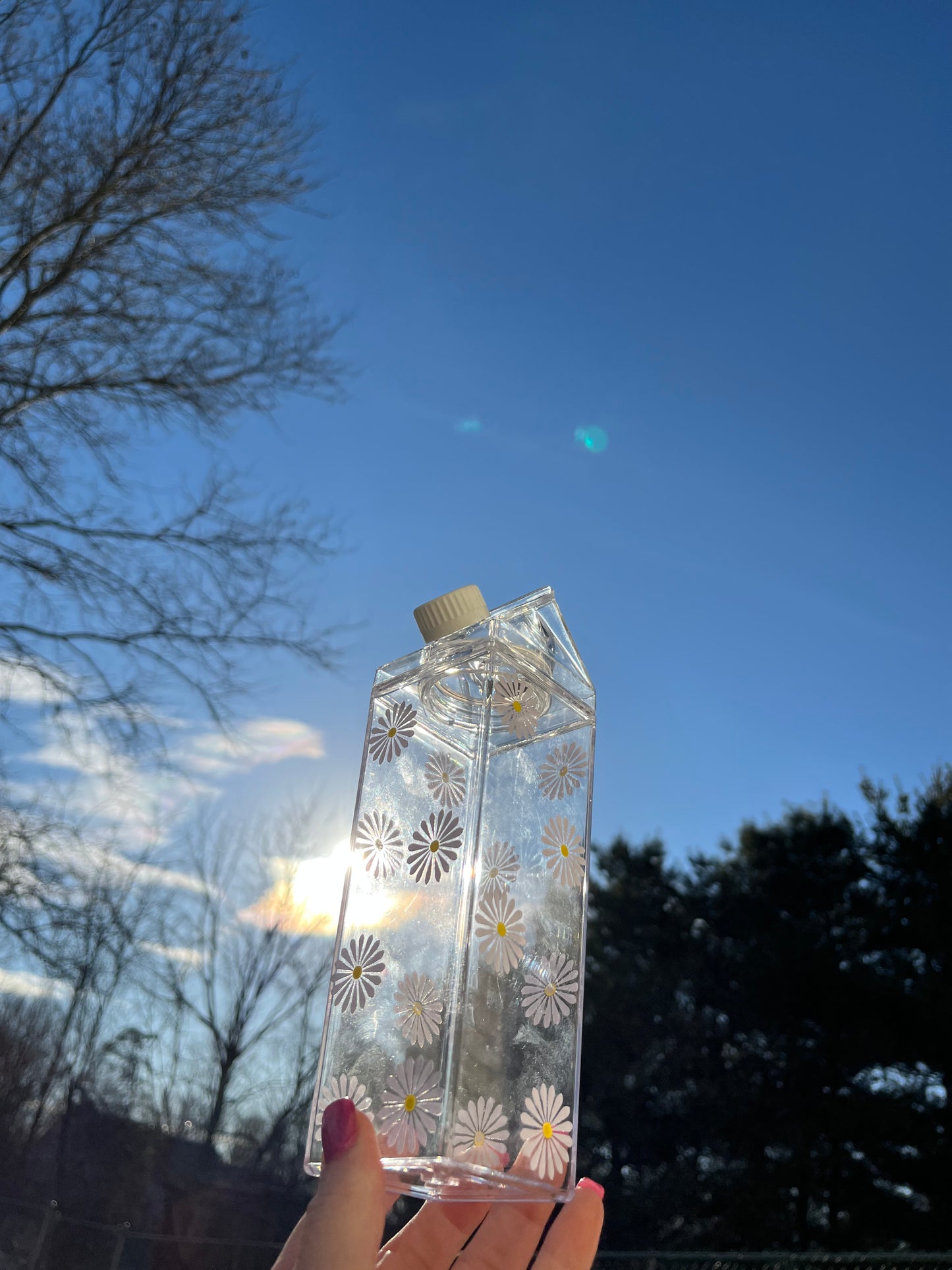 Daisy Milk Carton Water Bottle
