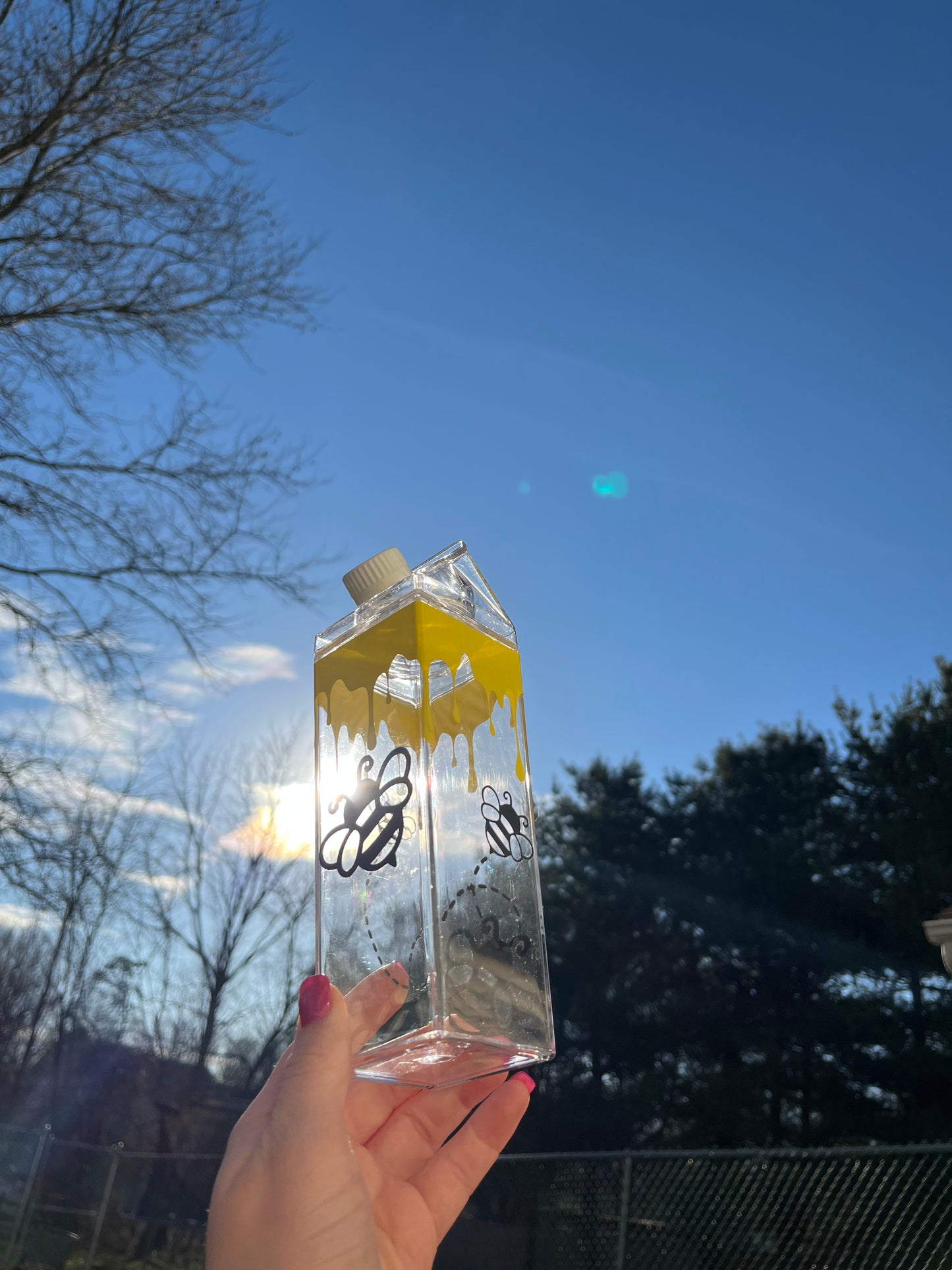 Bee and Honey Milk Carton Water Bottle