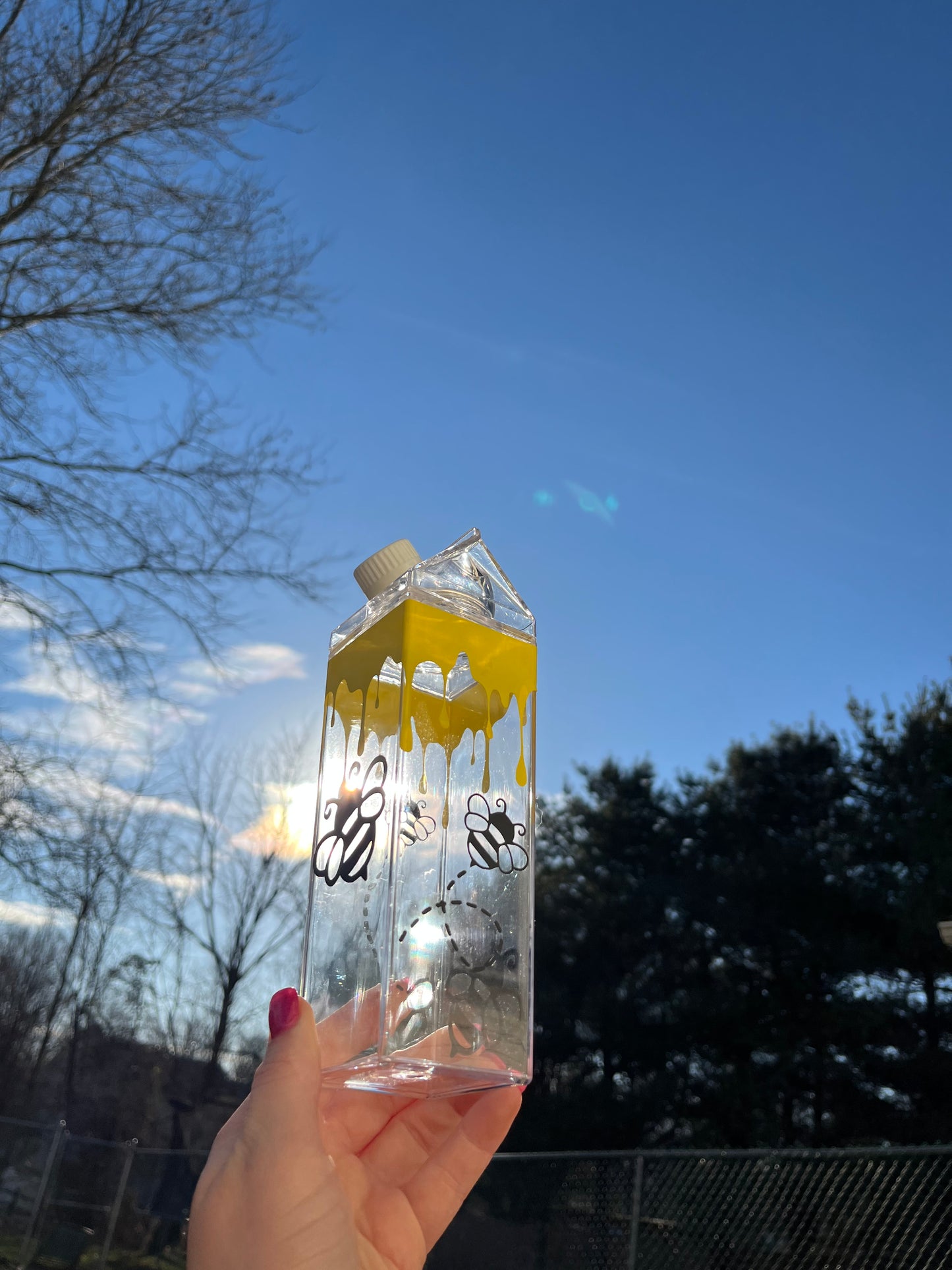 Bee and Honey Milk Carton Water Bottle