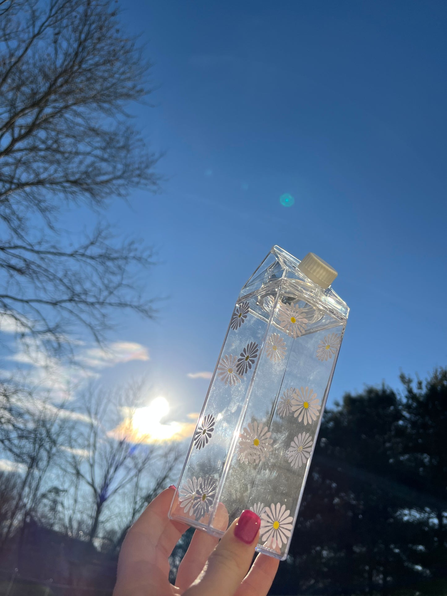 Daisy Milk Carton Water Bottle