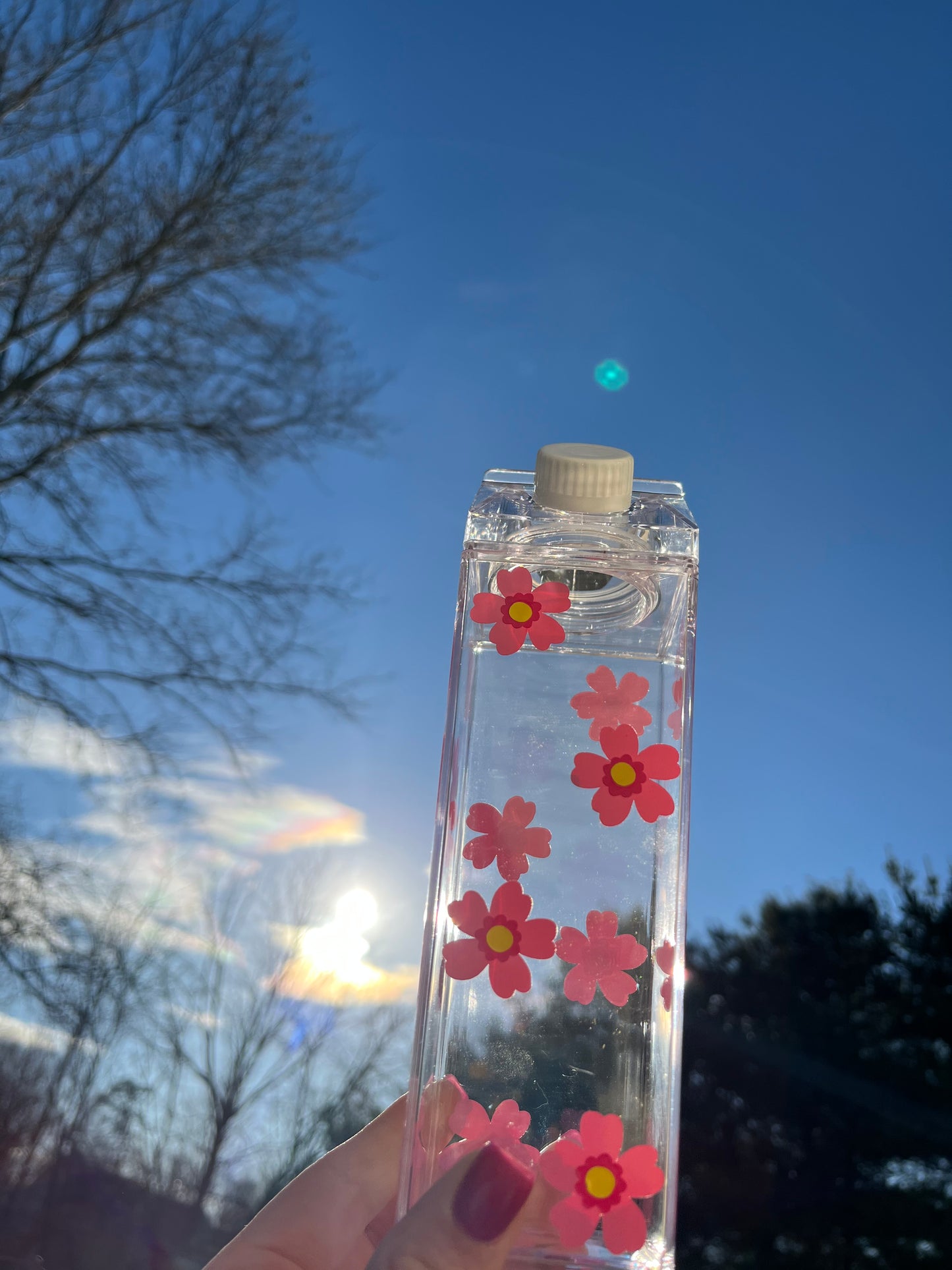 Spring Flower Milk Carton Water Bottle