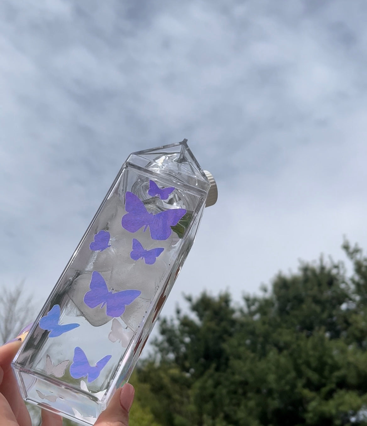 Butterfly Milk Carton Water Bottle
