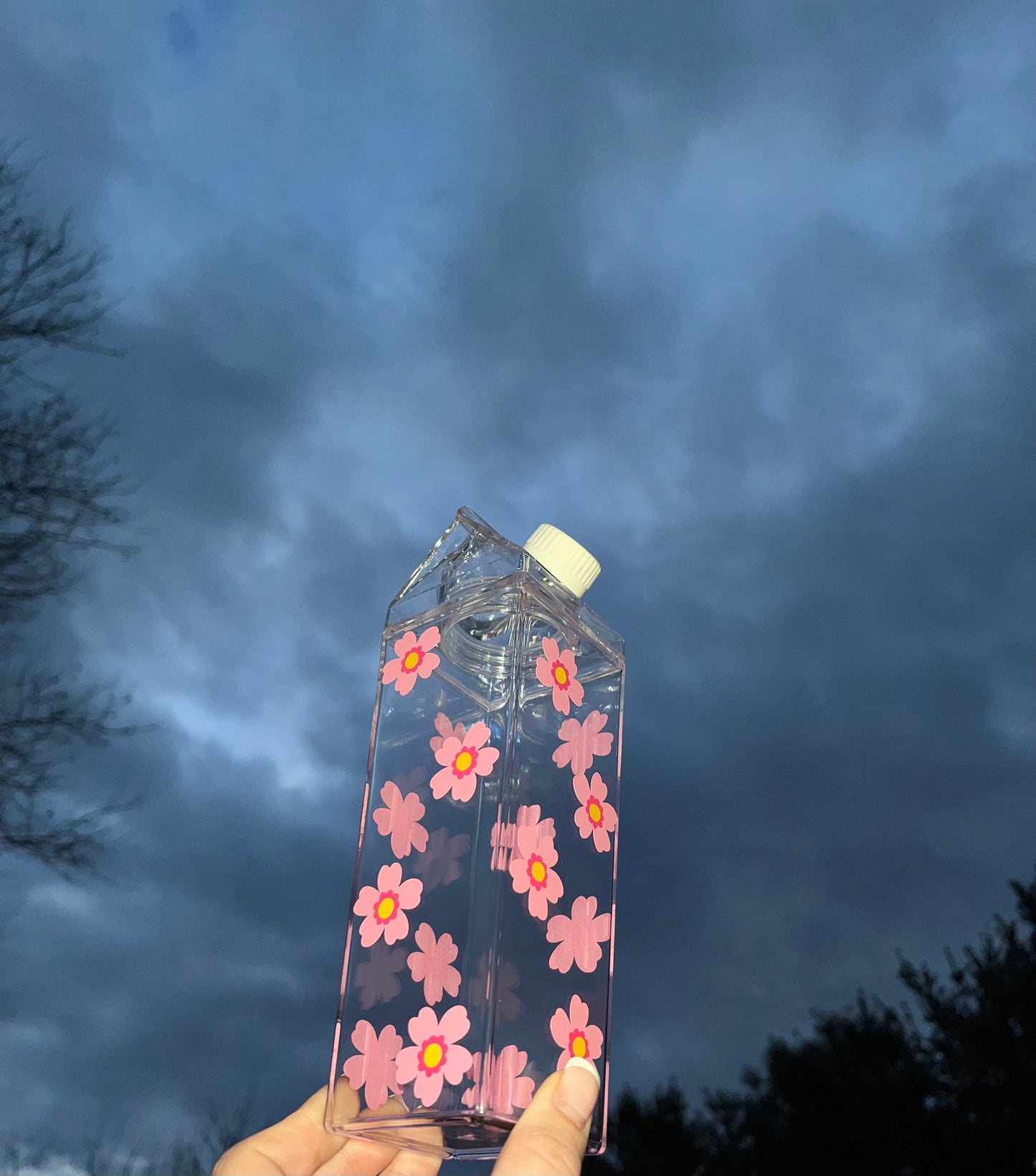 Spring Flower Milk Carton Water Bottle