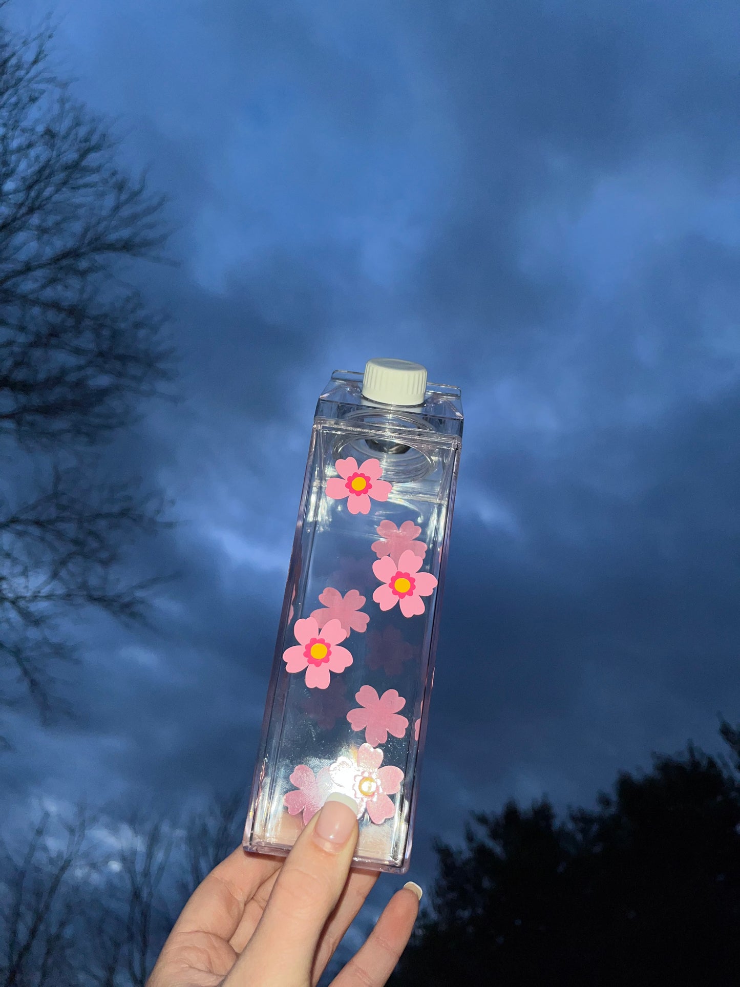 Spring Flower Milk Carton Water Bottle