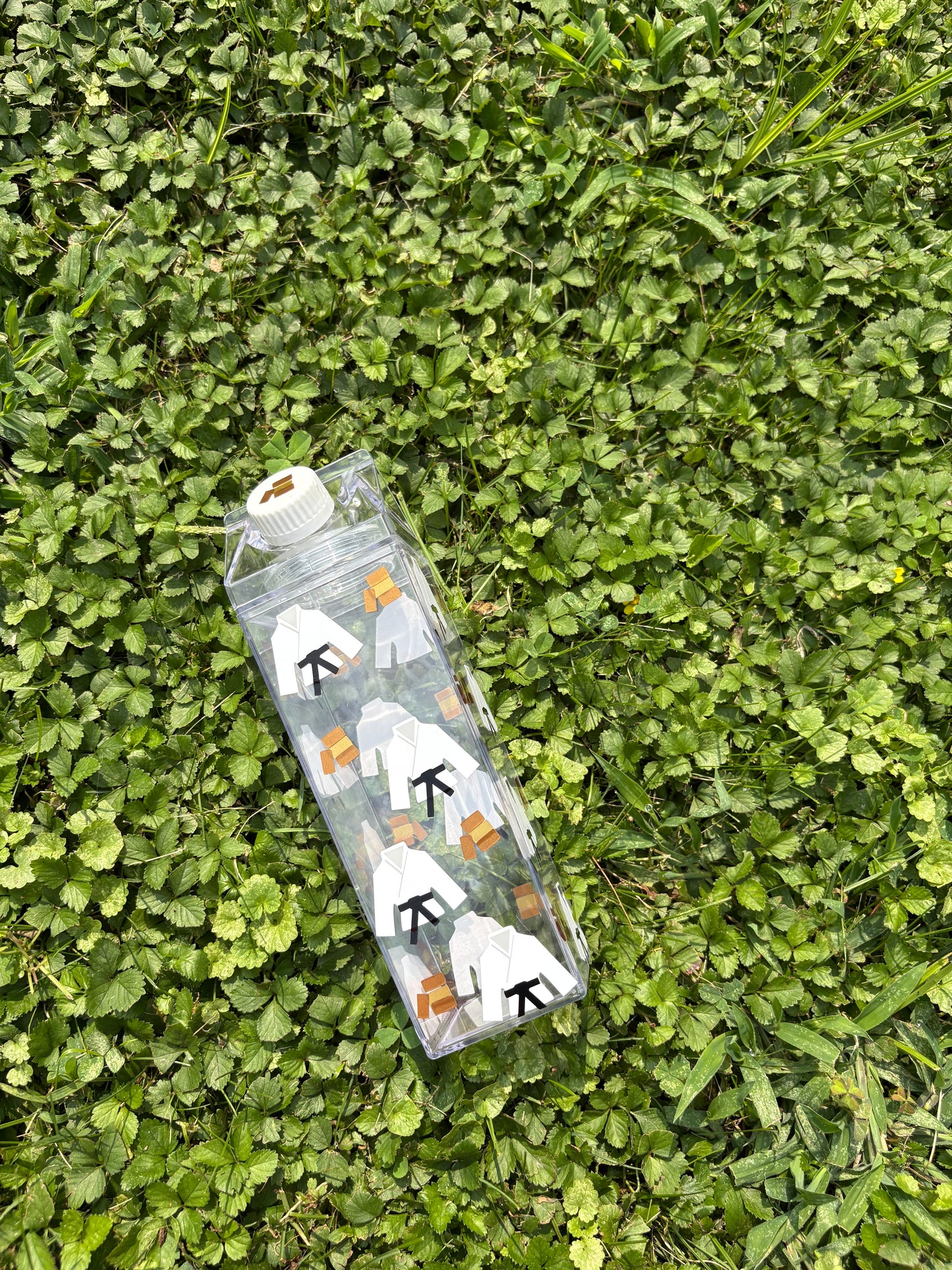 Karate Milk Carton Water Bottle