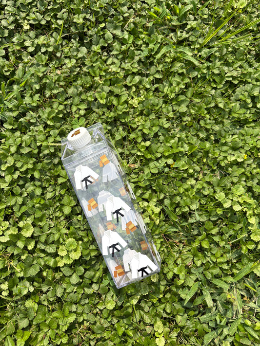 Karate Milk Carton Water Bottle