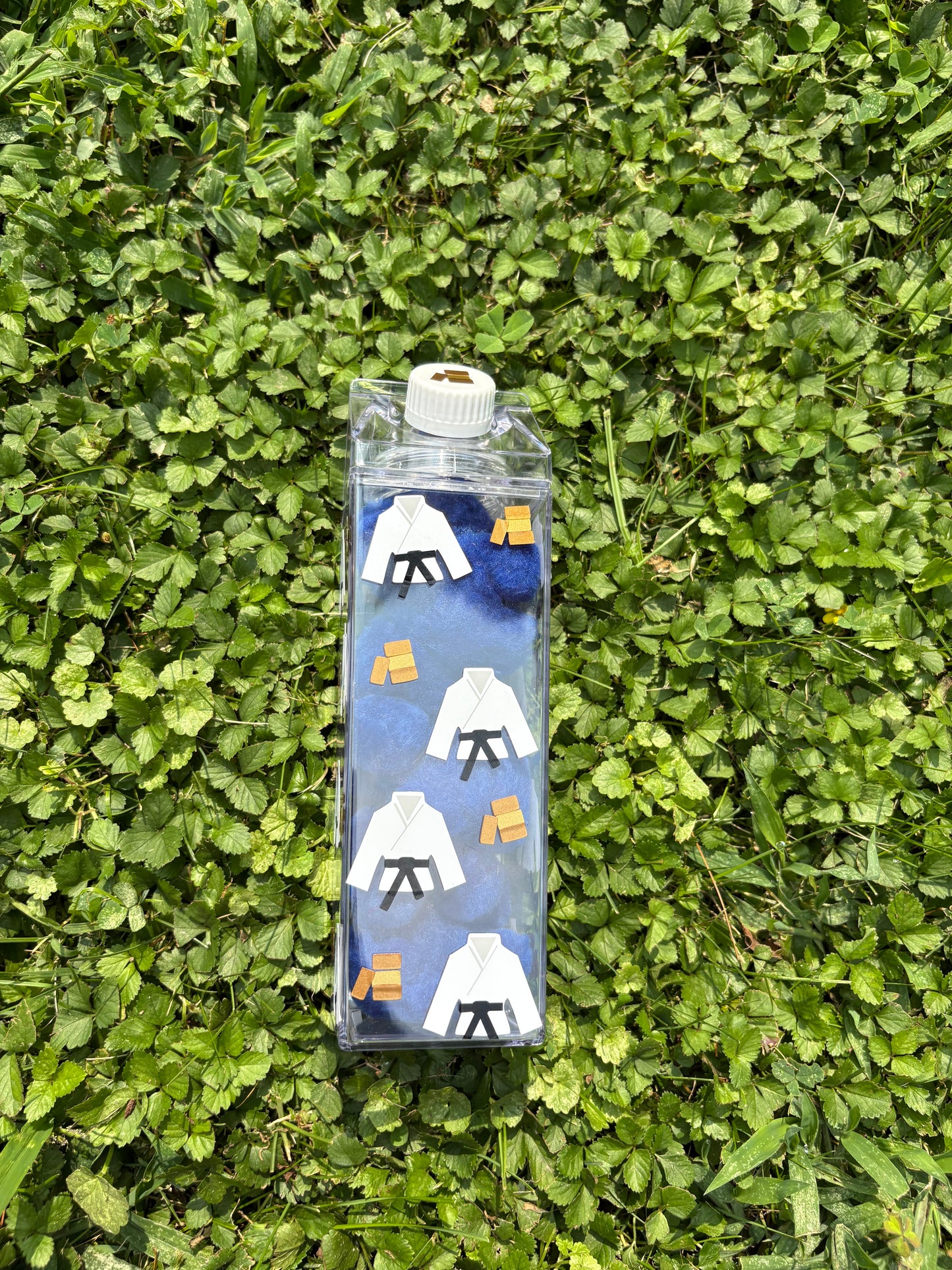 Karate Milk Carton Water Bottle