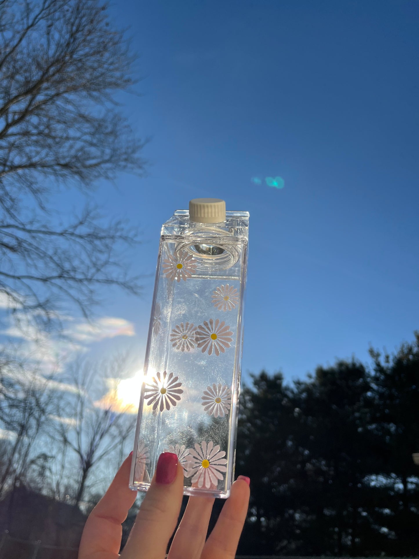 Daisy Milk Carton Water Bottle