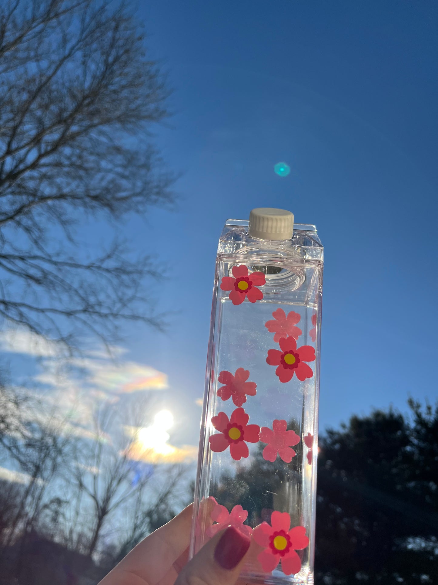 Spring Flower Milk Carton Water Bottle