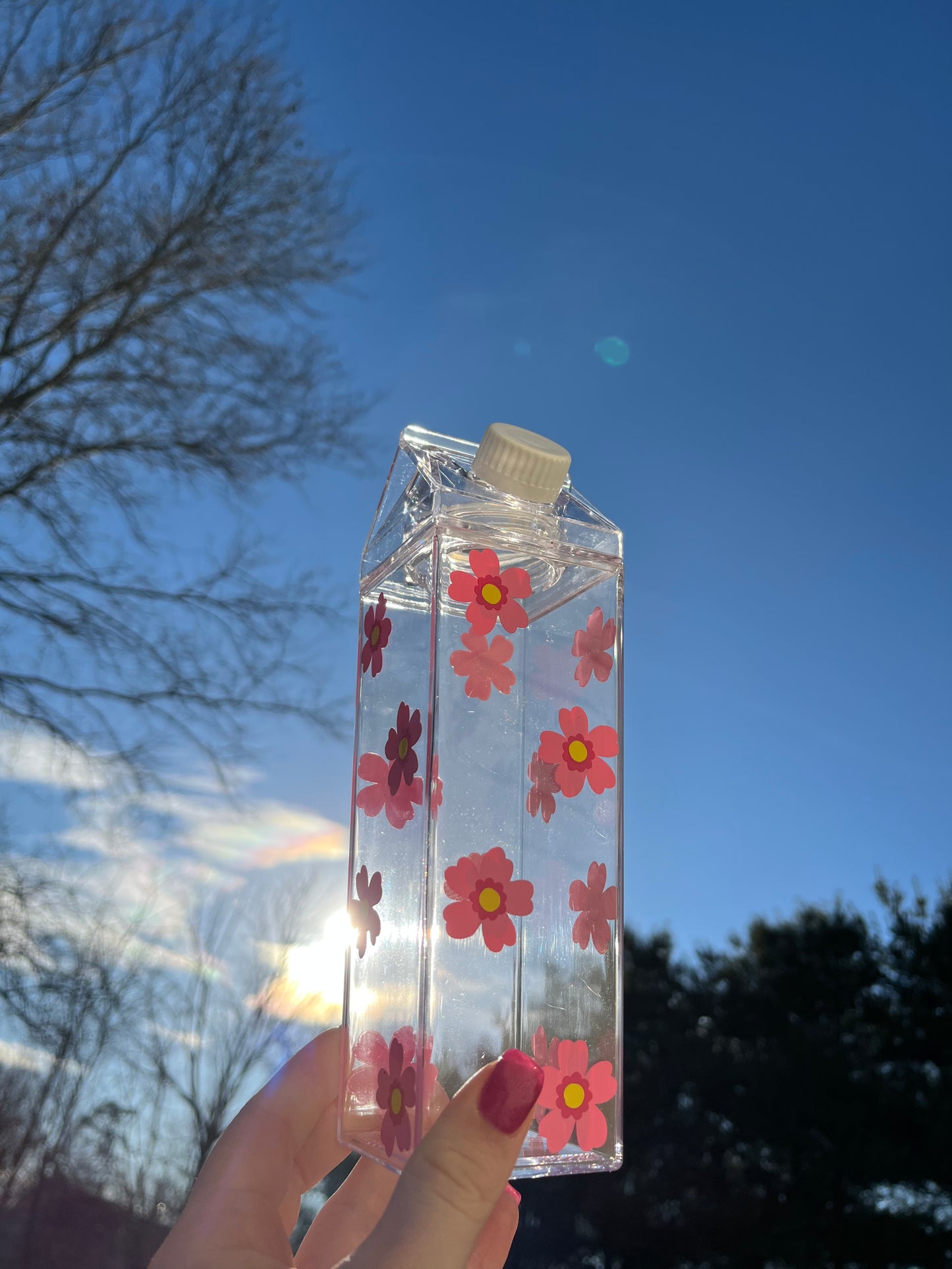 Spring Flower Milk Carton Water Bottle