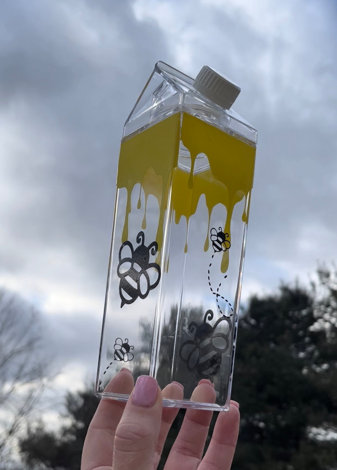 Bee and Honey Milk Carton Water Bottle