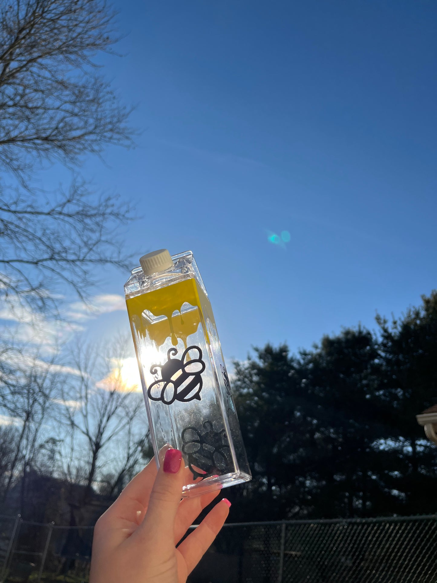 Bee and Honey Milk Carton Water Bottle