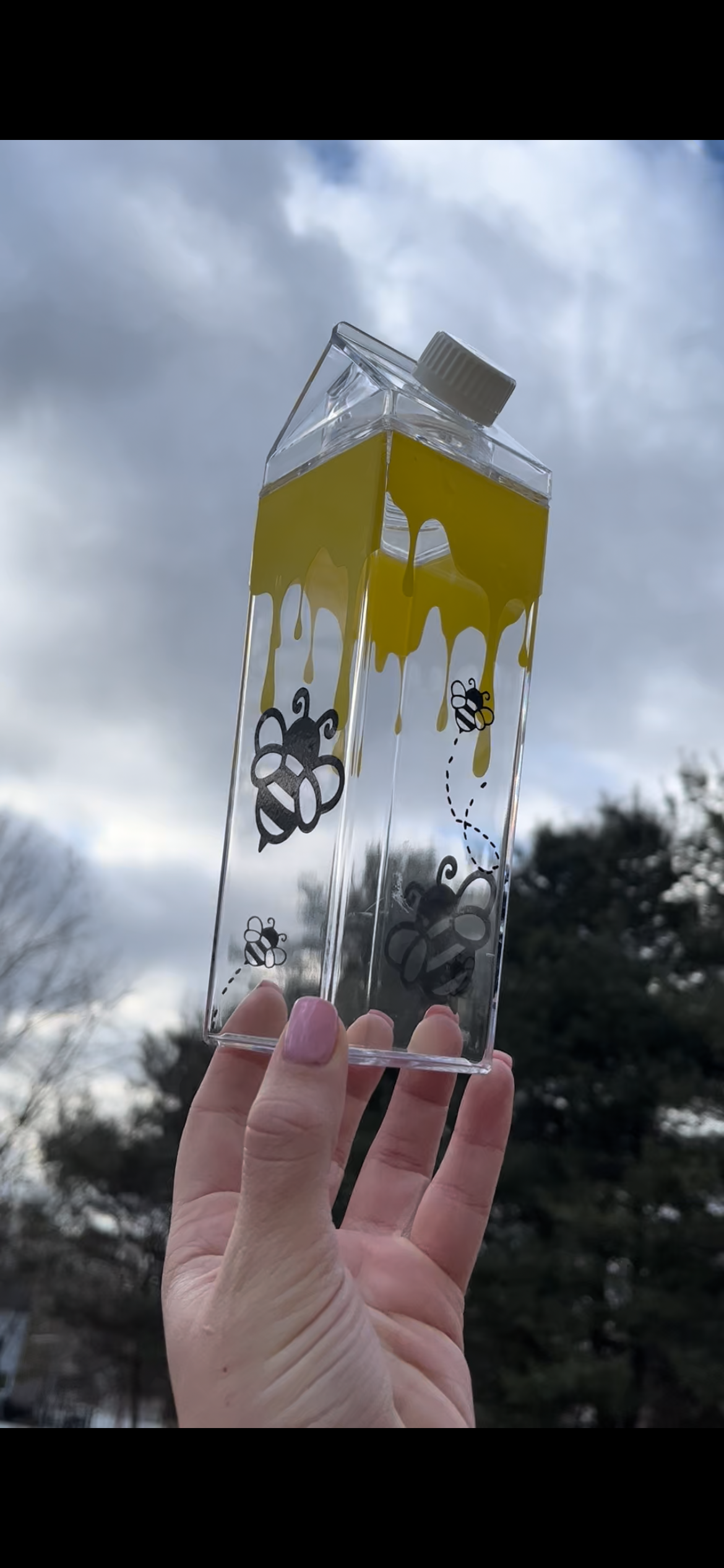 Bee and Honey Milk Carton Water Bottle