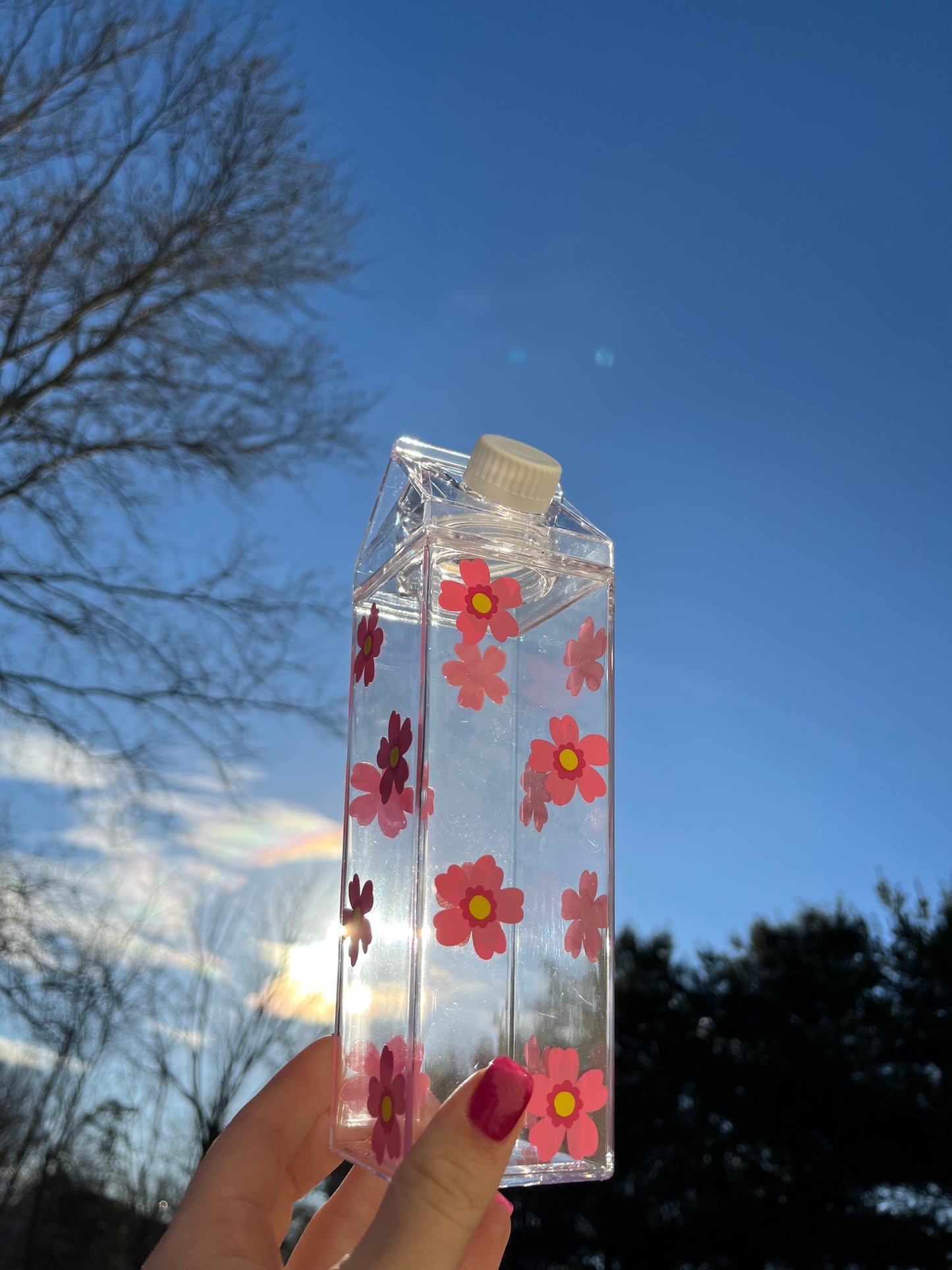 Spring Flower Milk Carton Water Bottle