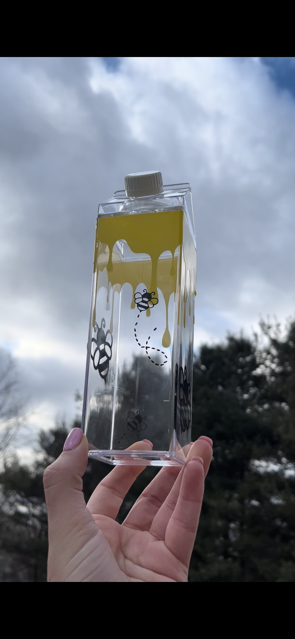 Bee and Honey Milk Carton Water Bottle