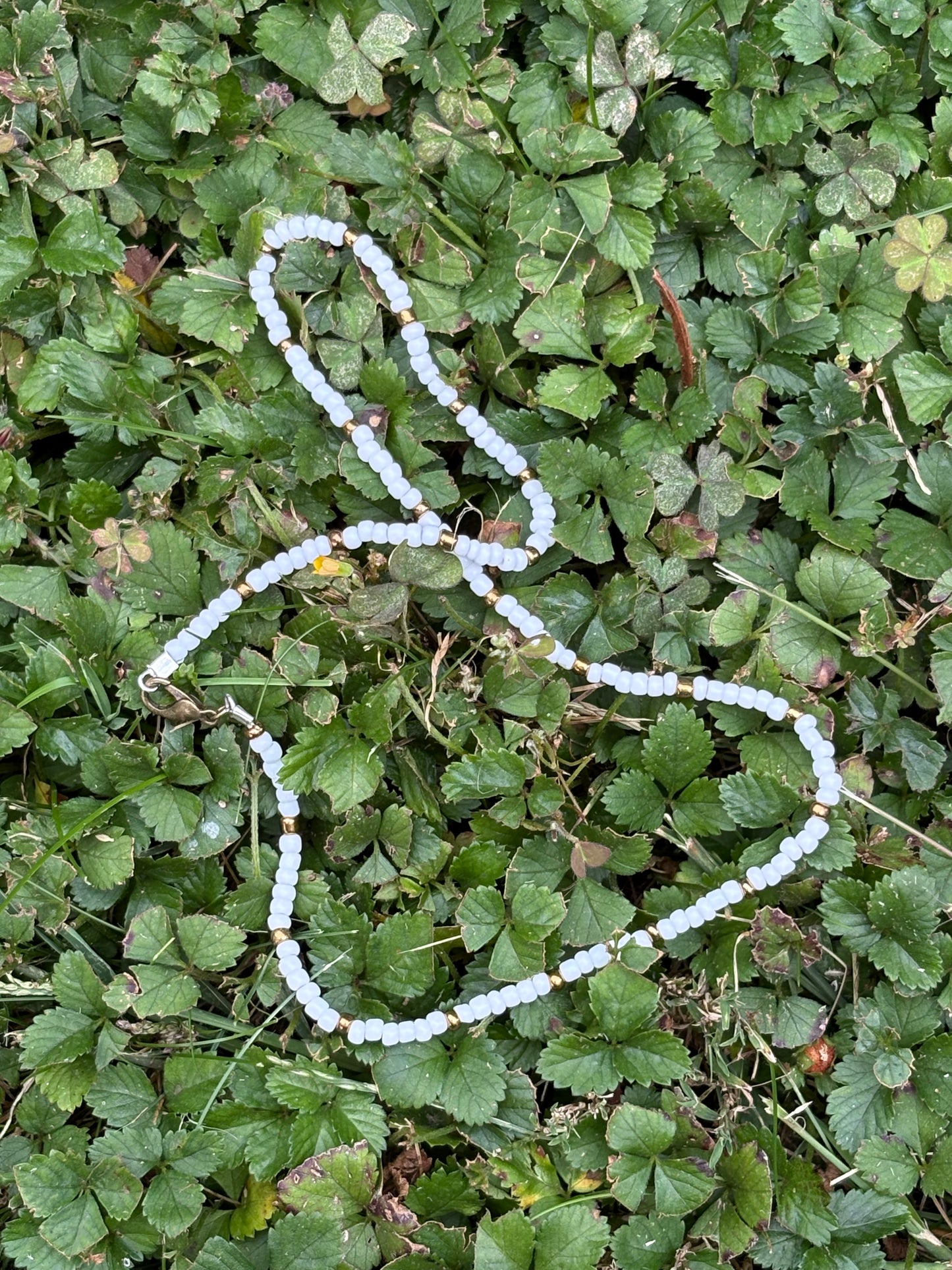 Multi/ Ombre Seed Bead Necklace